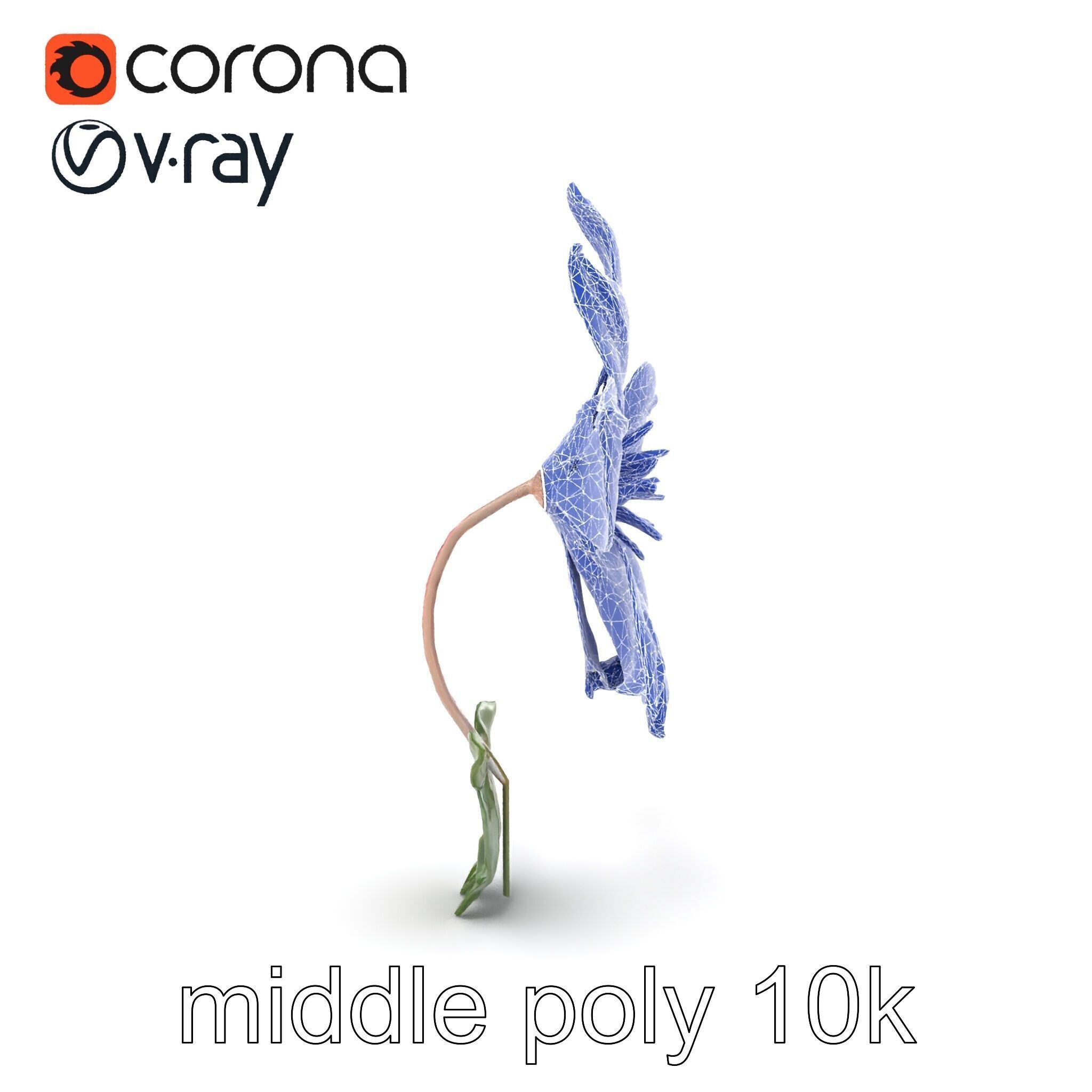 Soft Pink Clematis Flower with Glossy Vines model pack Low-poly 3D model_29