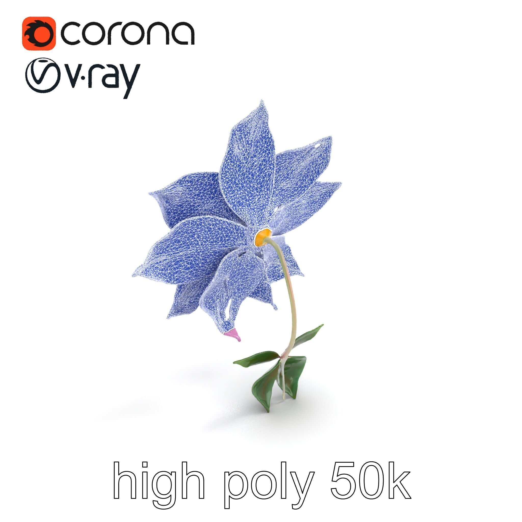 Soft Pink Clematis Flower with Glossy Vines model pack Low-poly 3D model_31