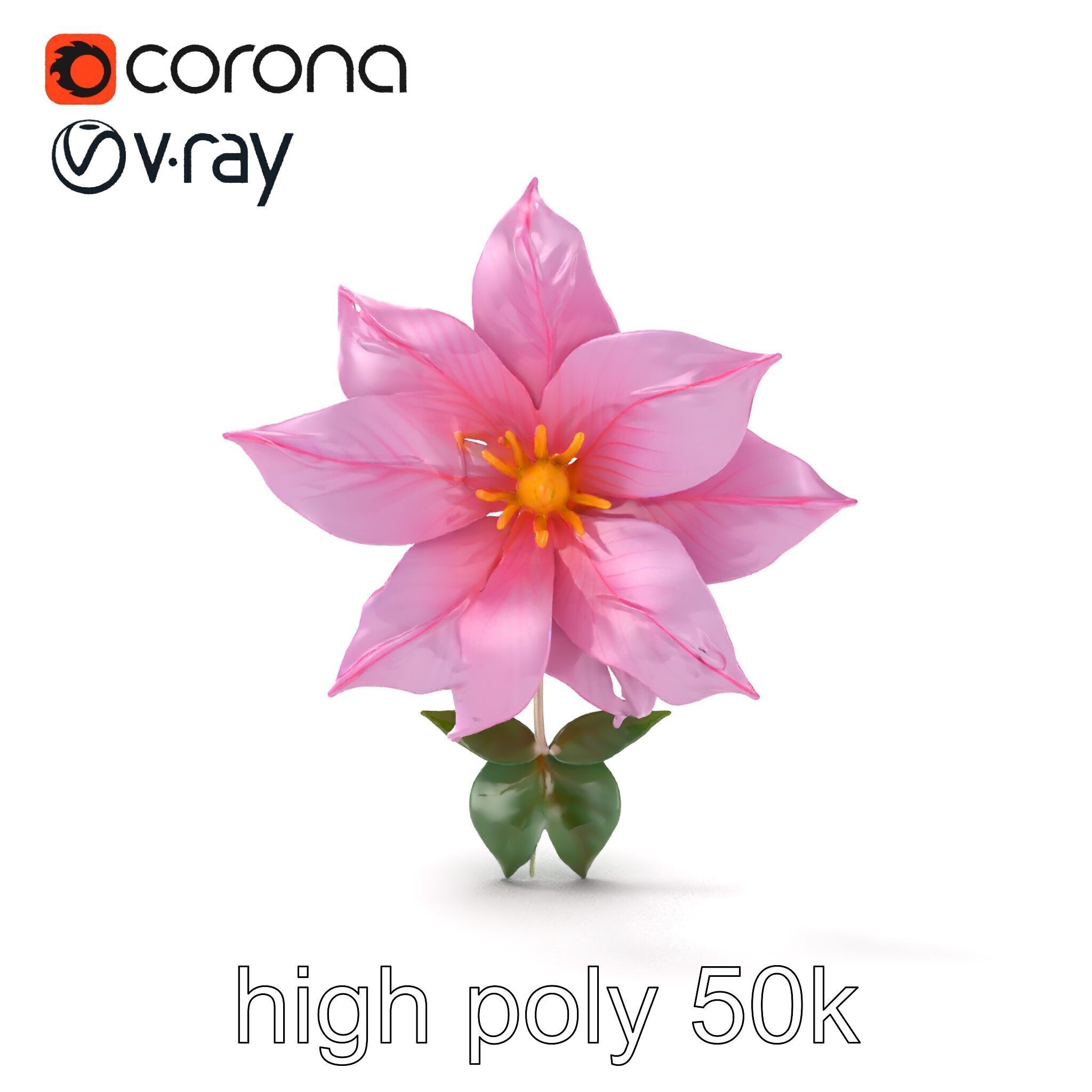 Soft Pink Clematis Flower with Glossy Vines model pack Low-poly 3D model_24