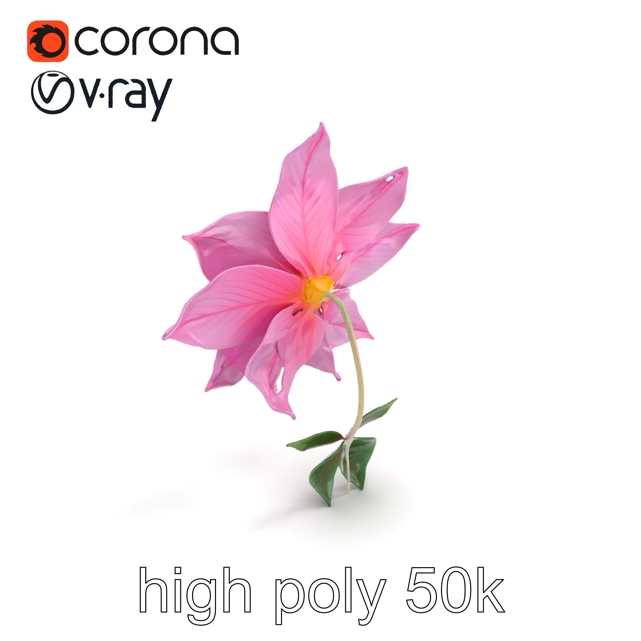 Soft Pink Clematis Flower with Glossy Vines model pack Low-poly 3D model_13