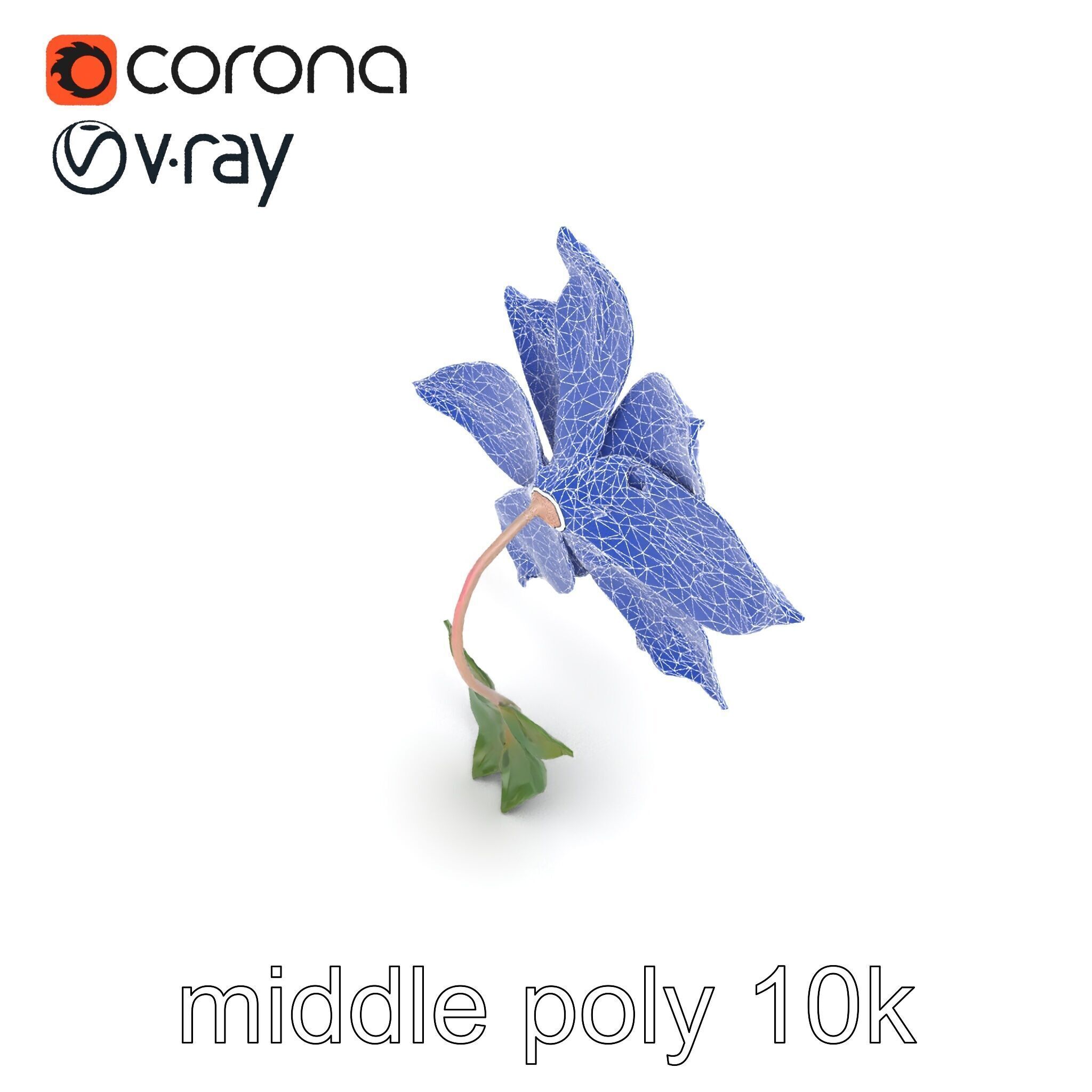 Soft Pink Clematis Flower with Glossy Vines model pack Low-poly 3D model_18