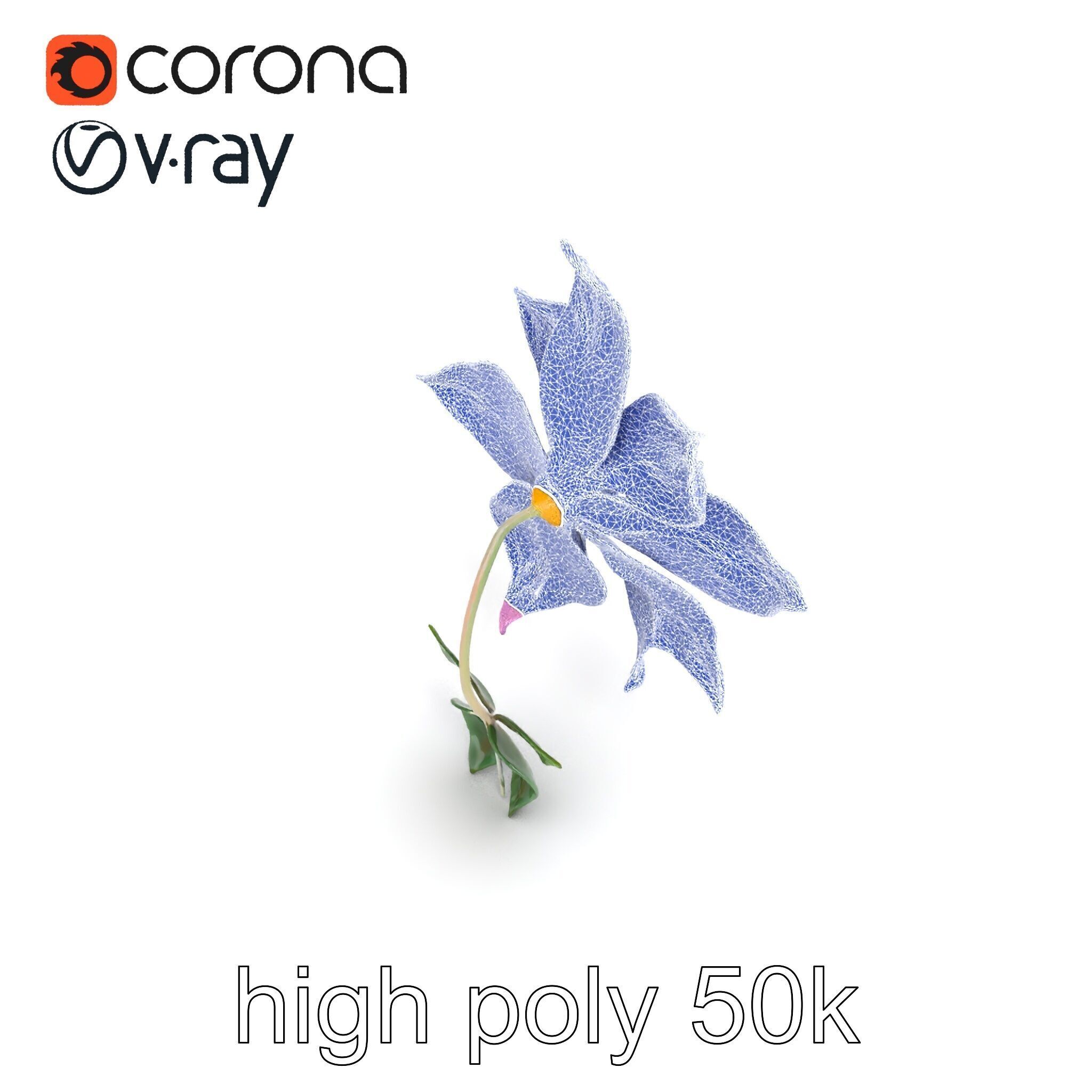 Soft Pink Clematis Flower with Glossy Vines model pack Low-poly 3D model_28