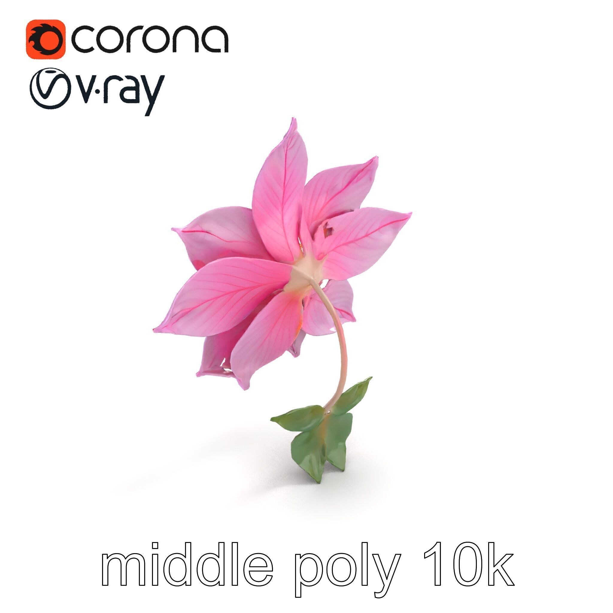 Soft Pink Clematis Flower with Glossy Vines model pack Low-poly 3D model_8