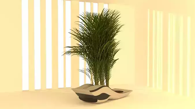 Plant Pot