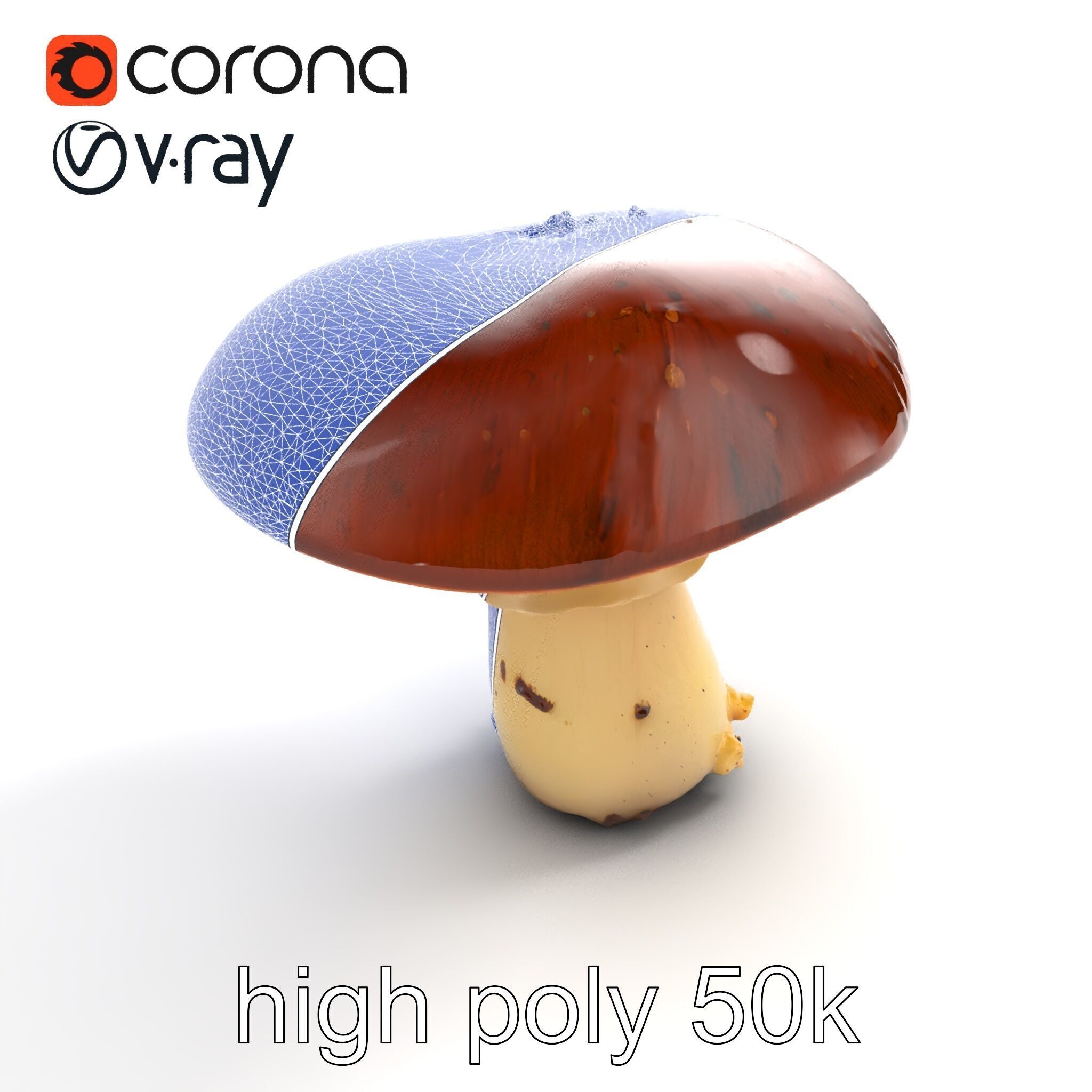 Damaged Mushroom with Authentic Marks model pack Low-poly 3D model_29