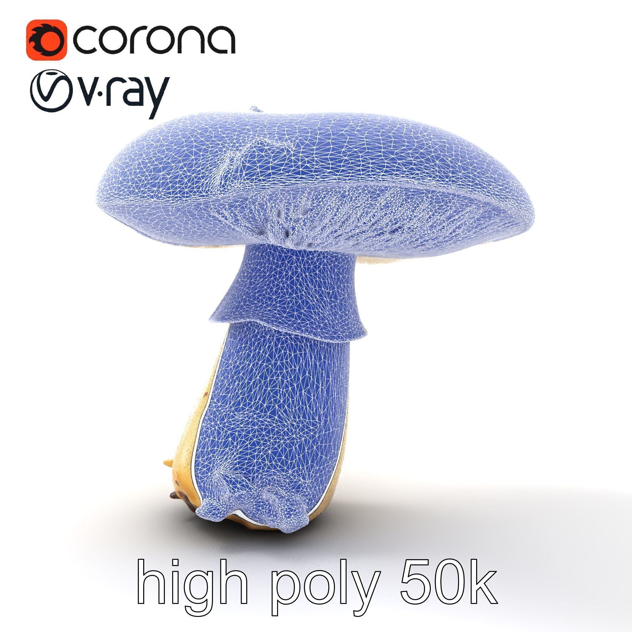 Damaged Mushroom with Authentic Marks model pack Low-poly 3D model_31
