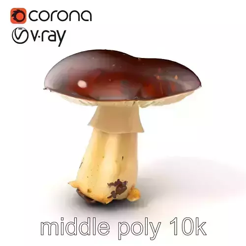 Damaged Mushroom with Authentic Marks model pack Low-poly 3D model