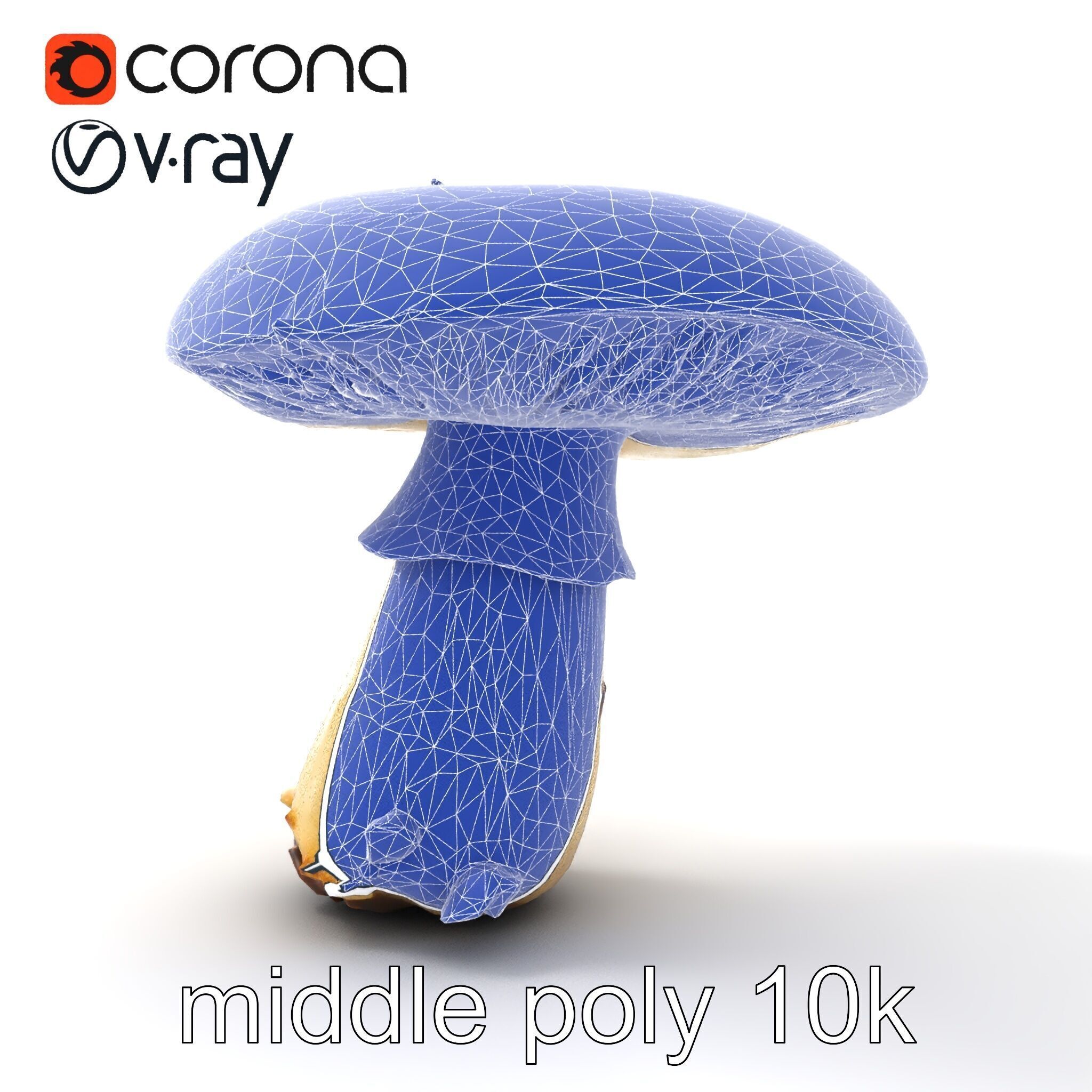 Damaged Mushroom with Authentic Marks model pack Low-poly 3D model_32