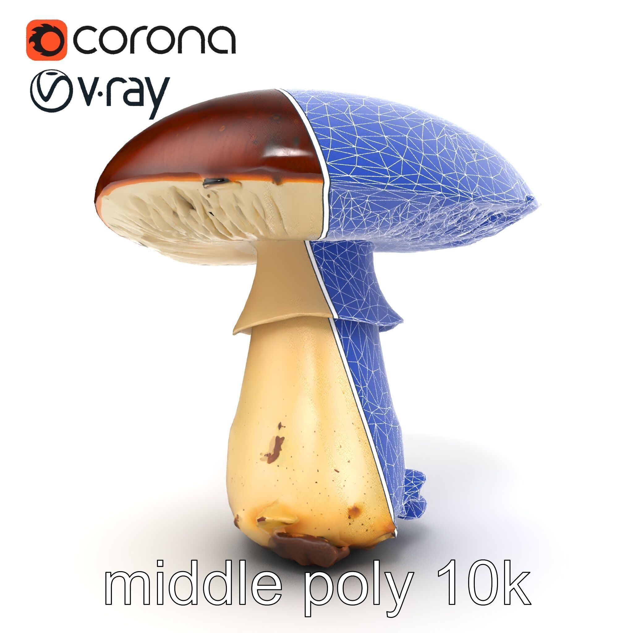 Damaged Mushroom with Authentic Marks model pack Low-poly 3D model_26
