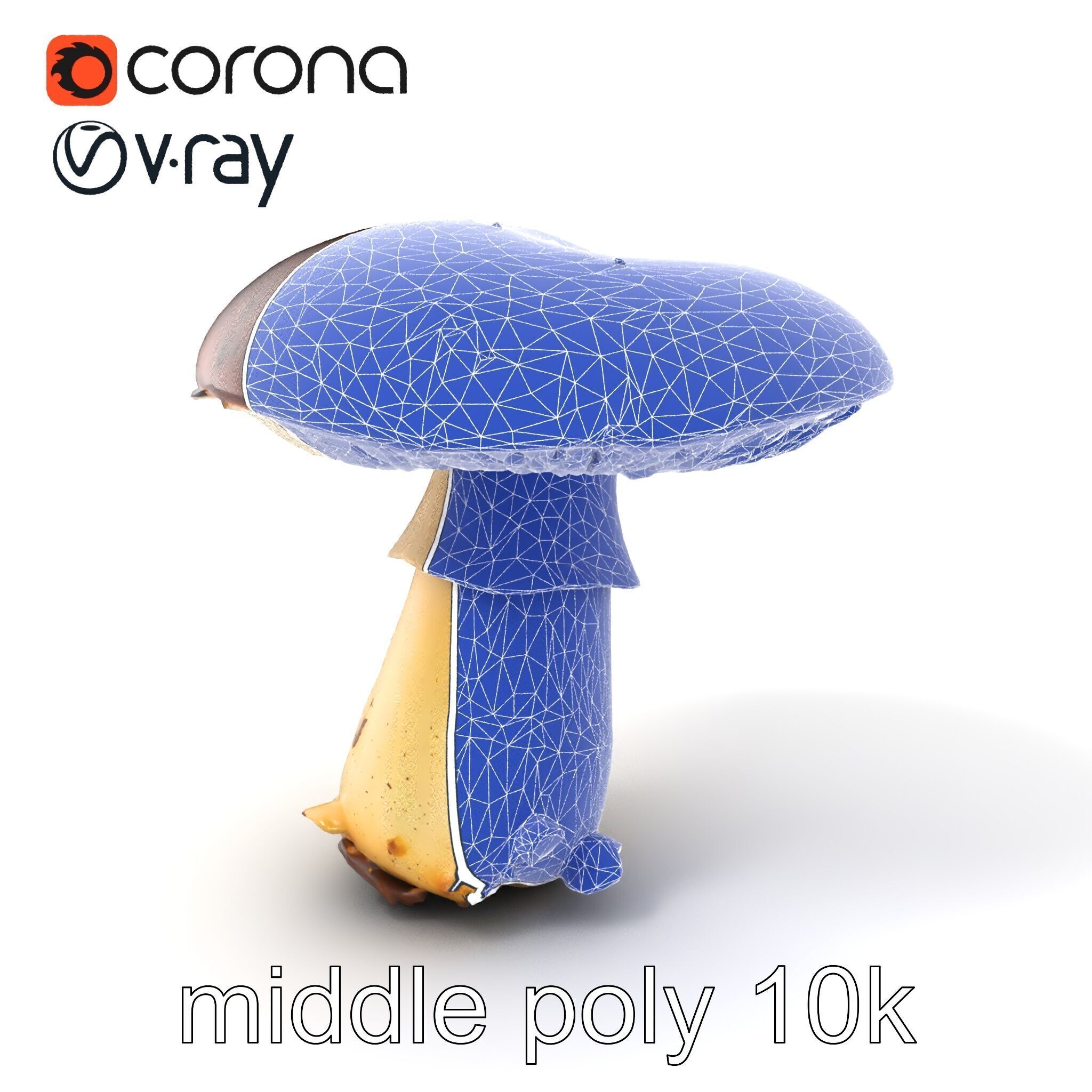 Damaged Mushroom with Authentic Marks model pack Low-poly 3D model_6