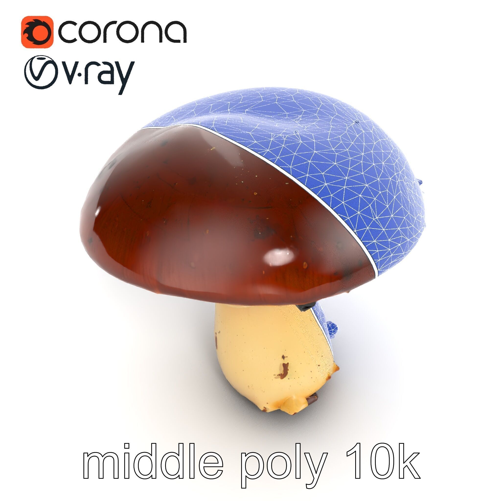 Damaged Mushroom with Authentic Marks model pack Low-poly 3D model_21