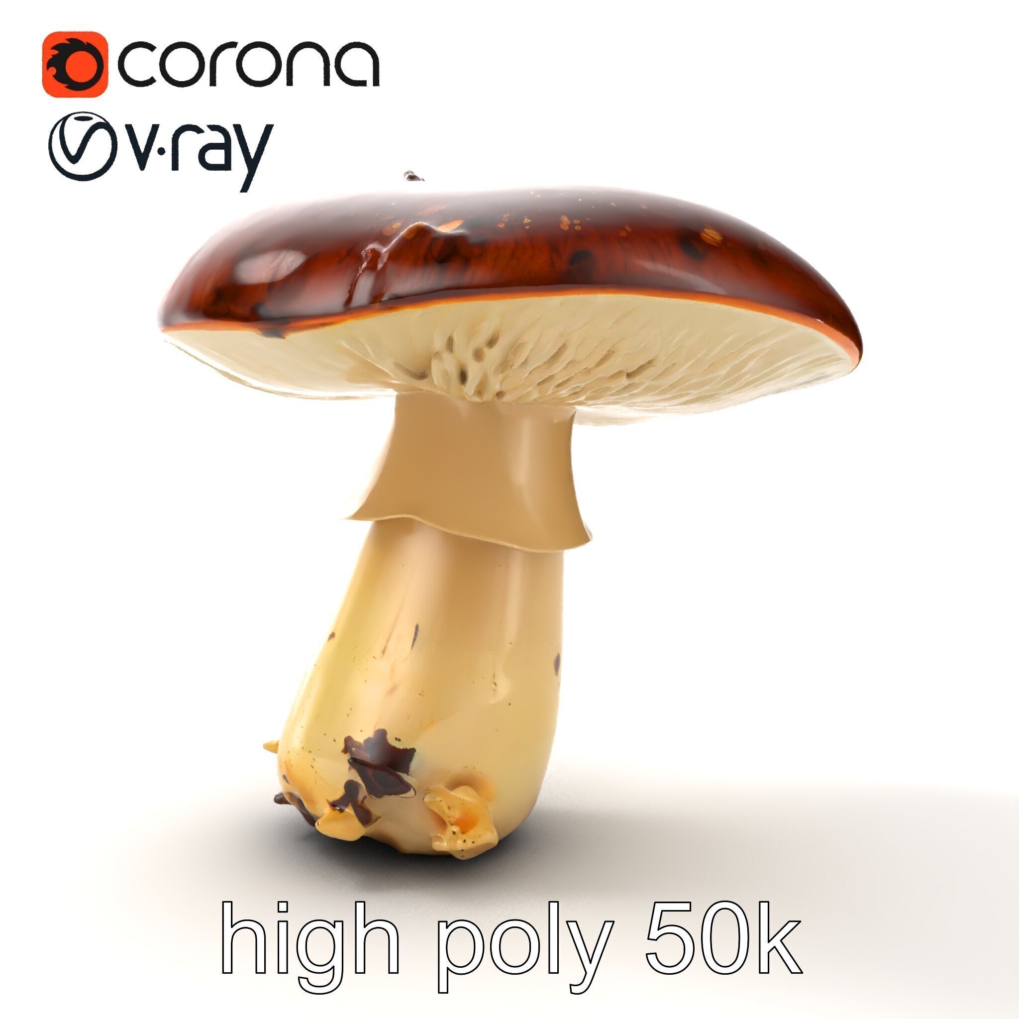 Damaged Mushroom with Authentic Marks model pack Low-poly 3D model_16
