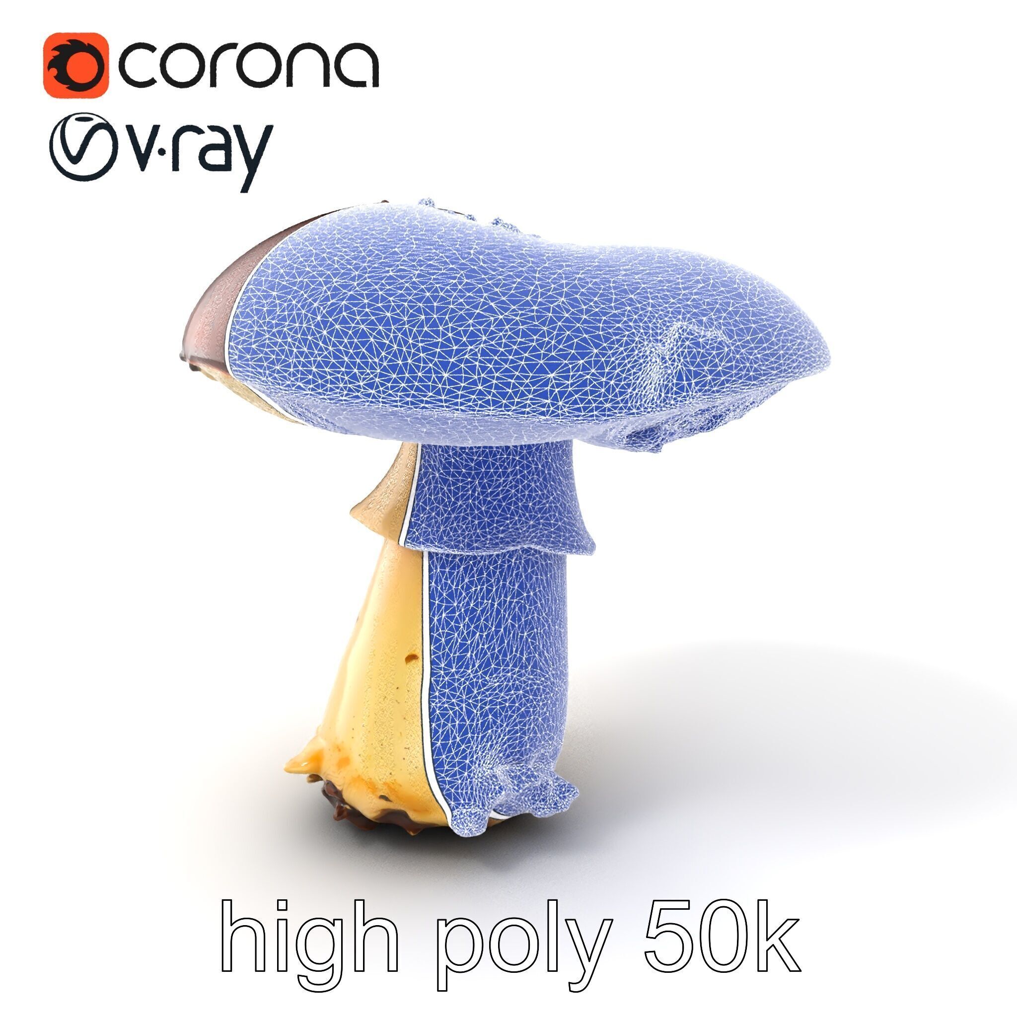 Damaged Mushroom with Authentic Marks model pack Low-poly 3D model_10