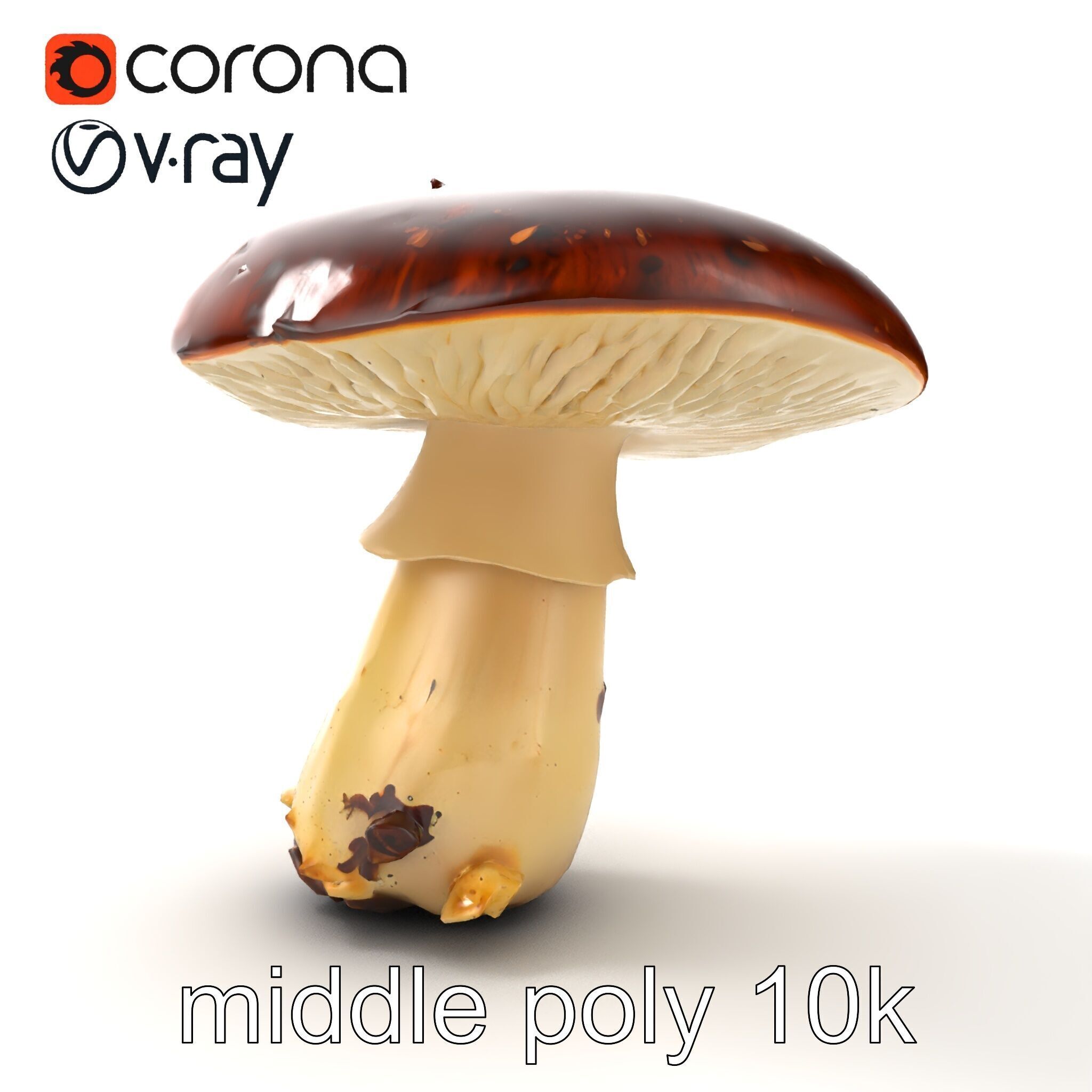 Damaged Mushroom with Authentic Marks model pack Low-poly 3D model_19
