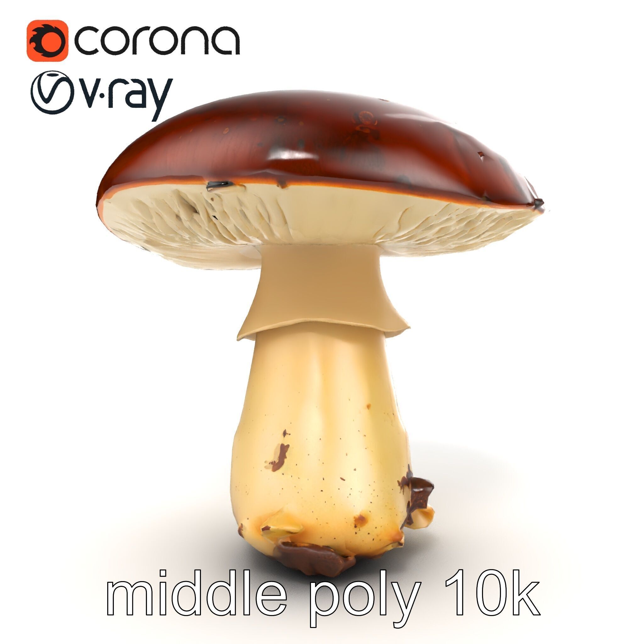 Damaged Mushroom with Authentic Marks model pack Low-poly 3D model_22