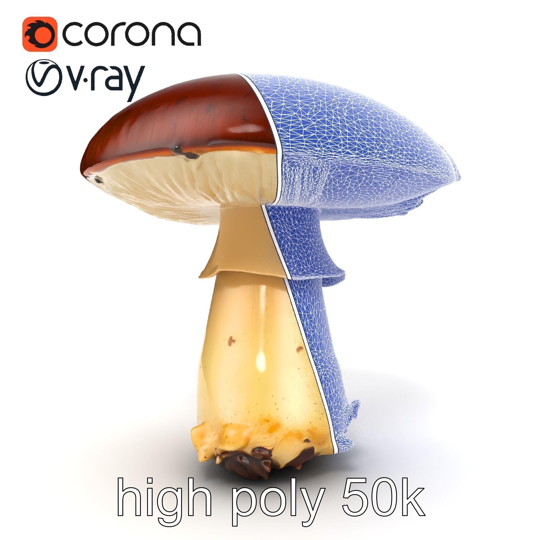 Damaged Mushroom with Authentic Marks model pack Low-poly 3D model_28