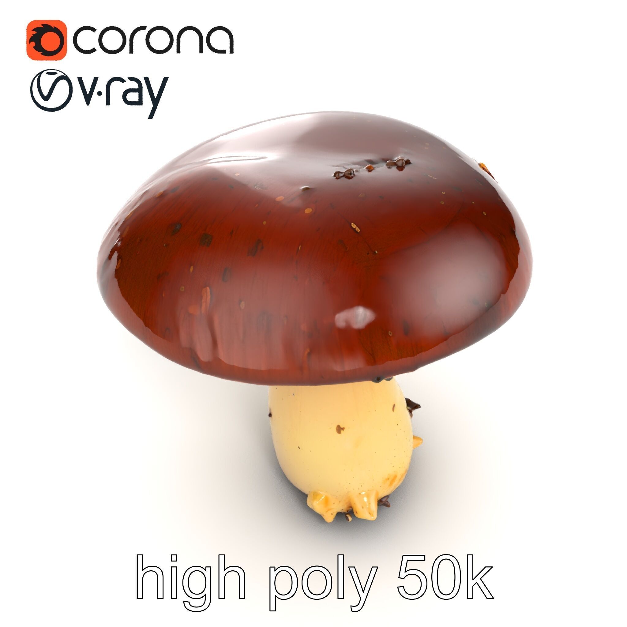 Damaged Mushroom with Authentic Marks model pack Low-poly 3D model_23