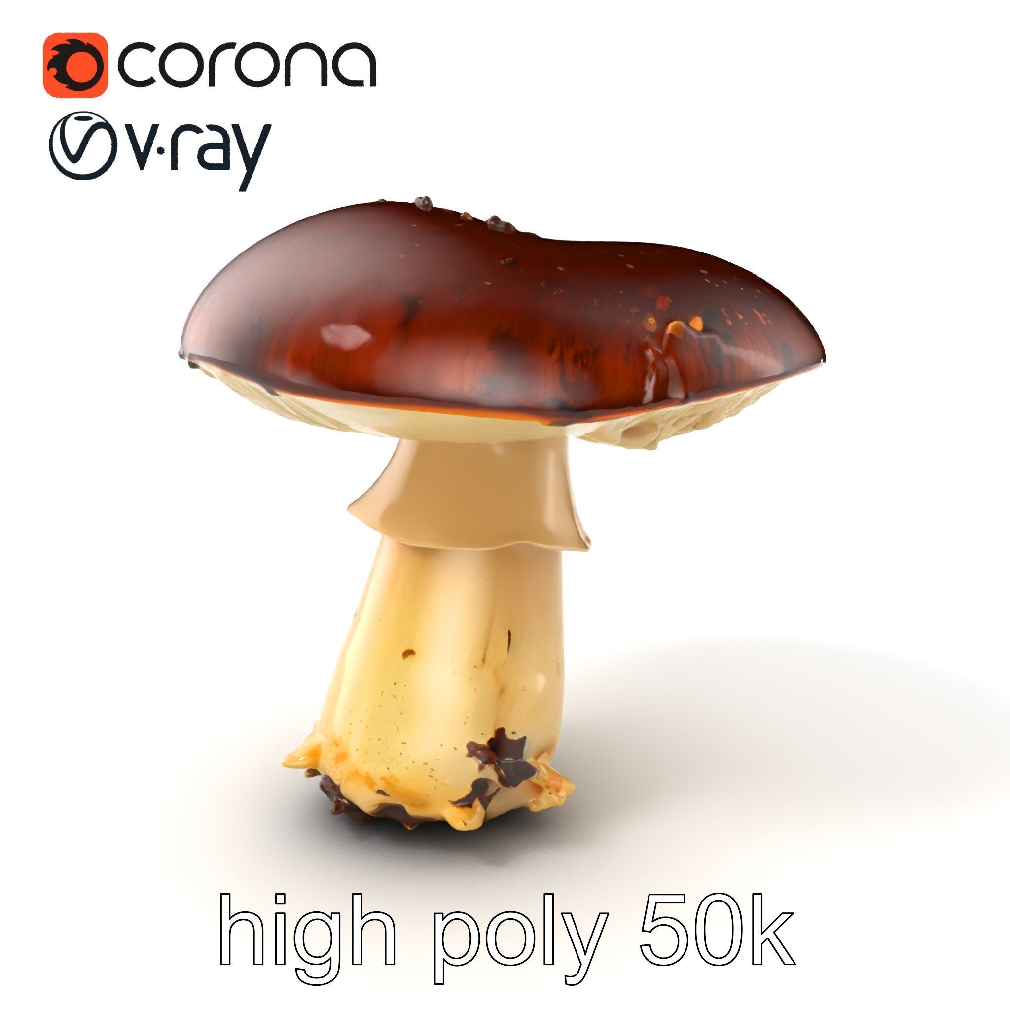 Damaged Mushroom with Authentic Marks model pack Low-poly 3D model_2