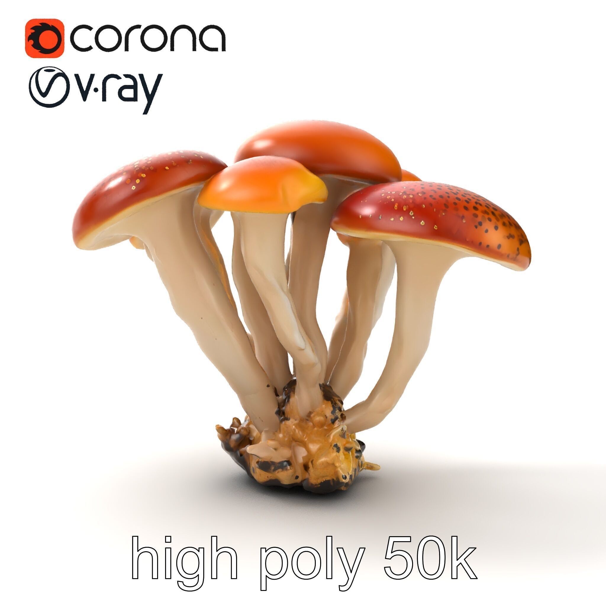 Clustered Mushrooms Diversity Sculpture model pack Low-poly 3D model_16