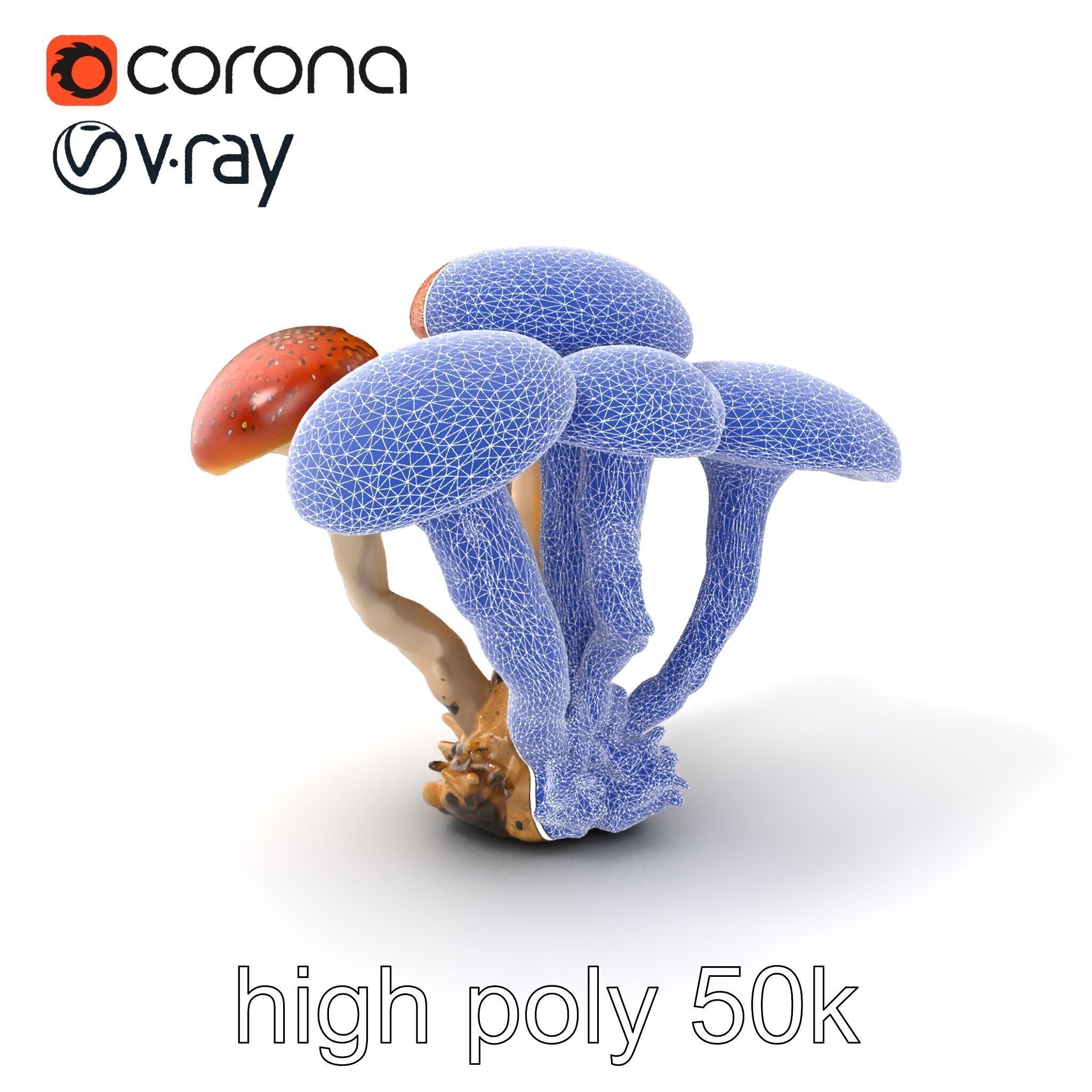 Clustered Mushrooms Diversity Sculpture model pack Low-poly 3D model_10