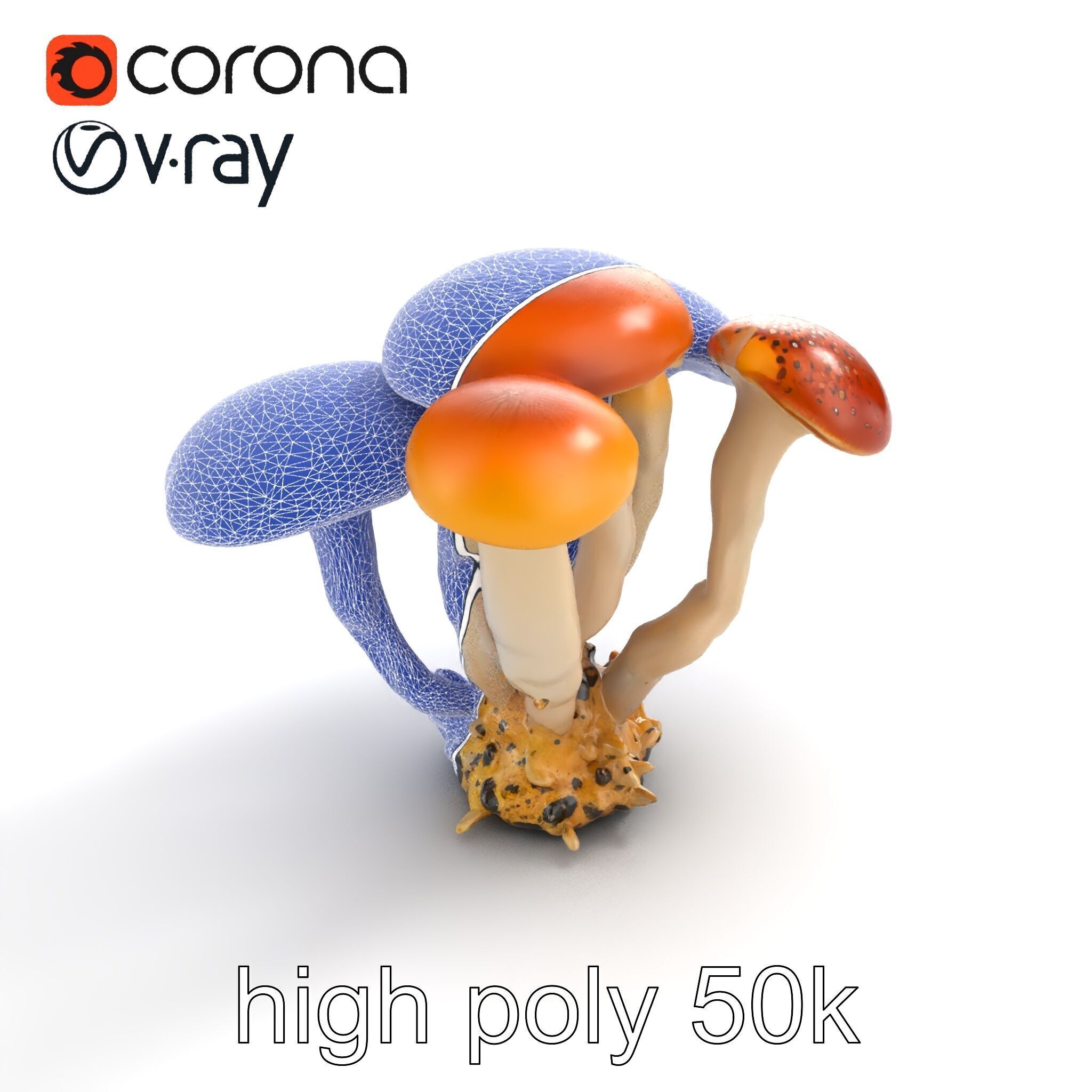 Clustered Mushrooms Diversity Sculpture model pack Low-poly 3D model_18