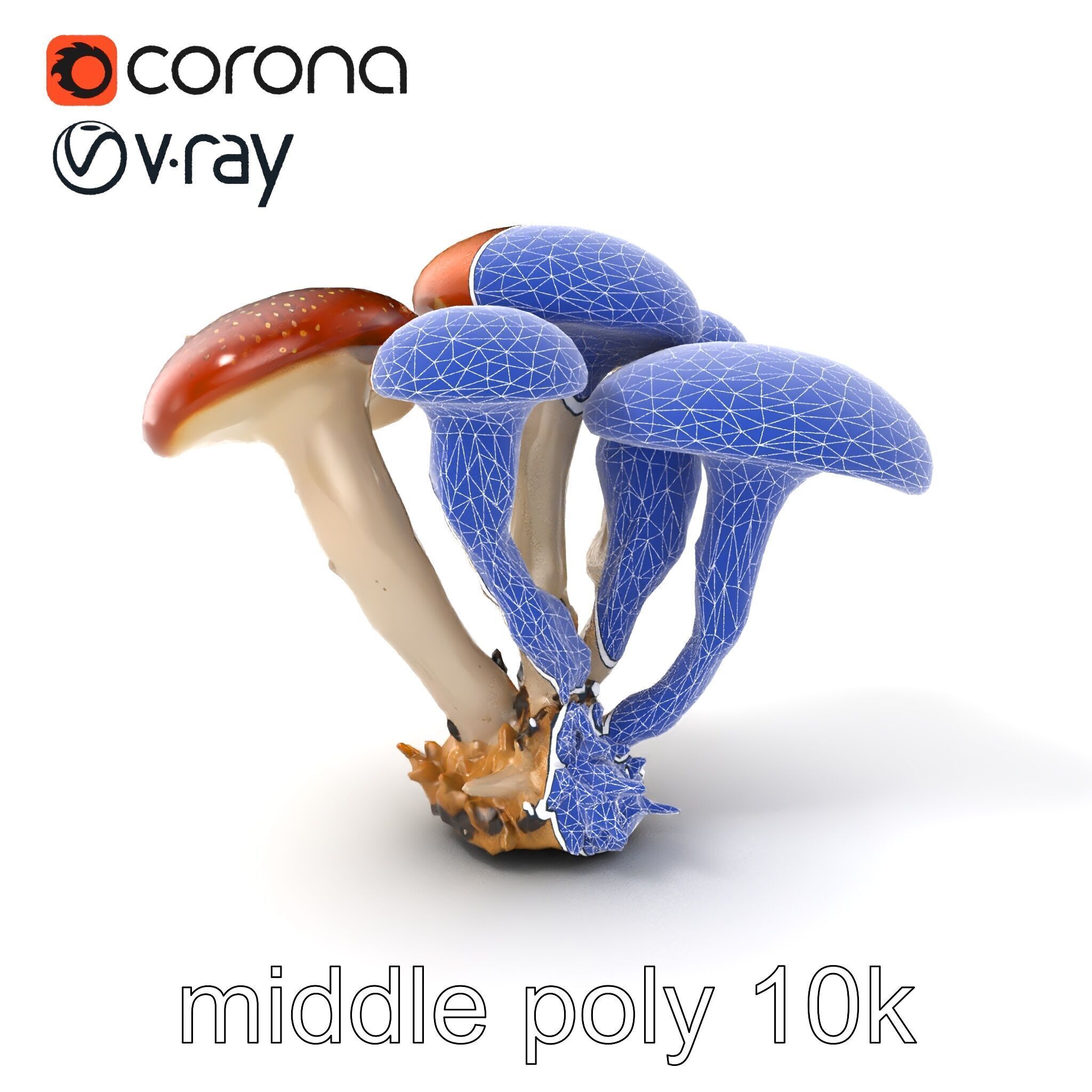 Clustered Mushrooms Diversity Sculpture model pack Low-poly 3D model_6