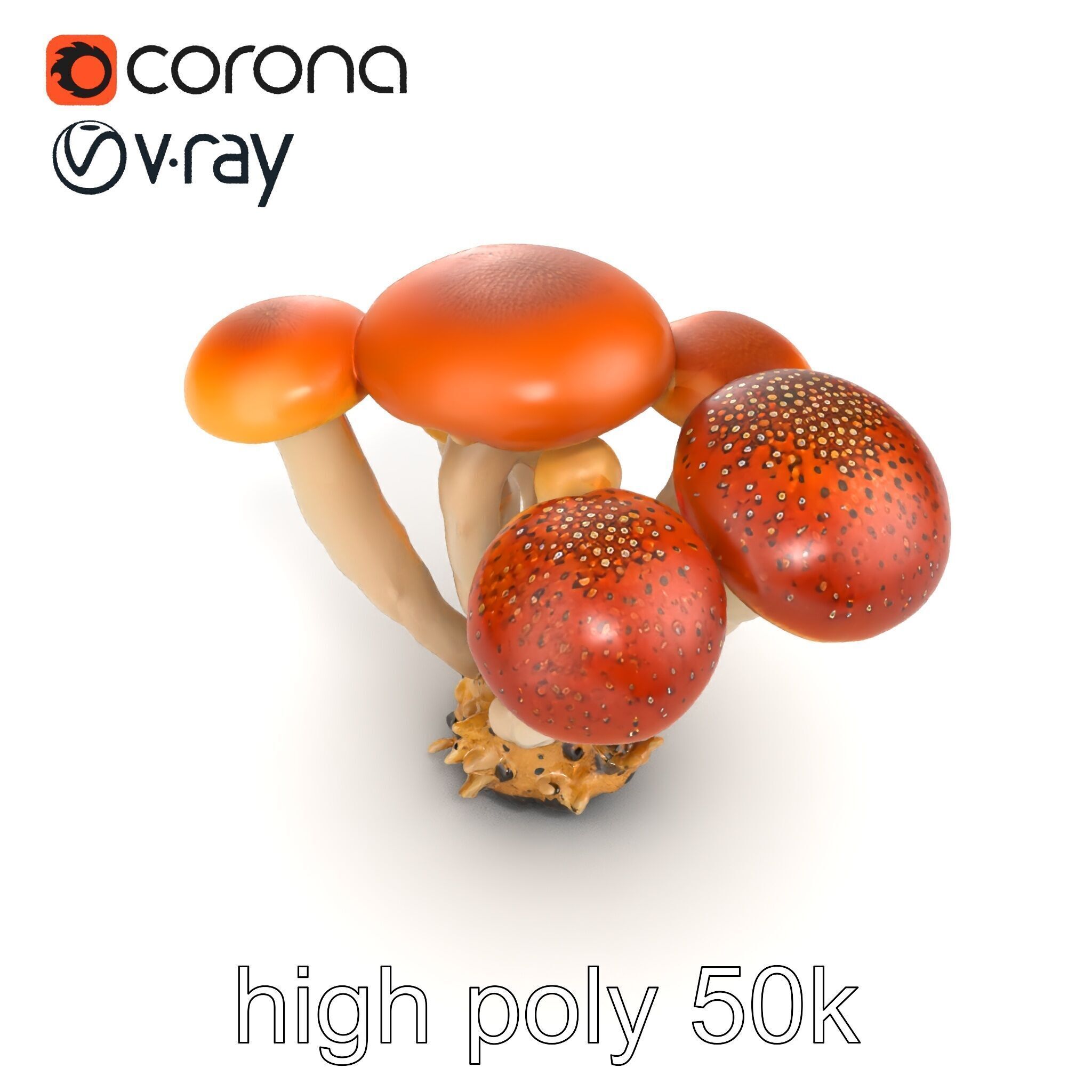 Clustered Mushrooms Diversity Sculpture model pack Low-poly 3D model_28