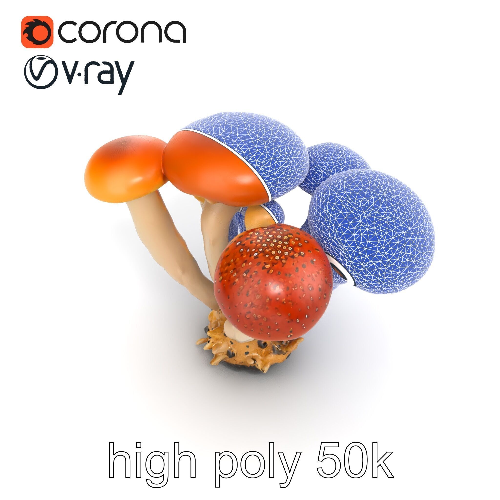 Clustered Mushrooms Diversity Sculpture model pack Low-poly 3D model_27