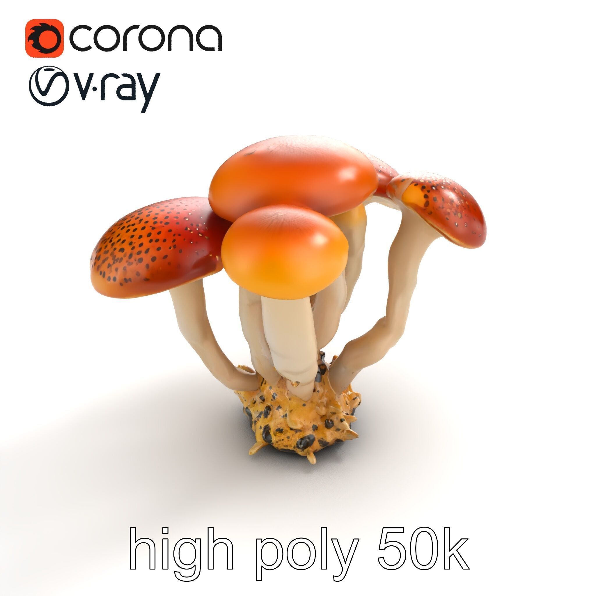 Clustered Mushrooms Diversity Sculpture model pack Low-poly 3D model_24