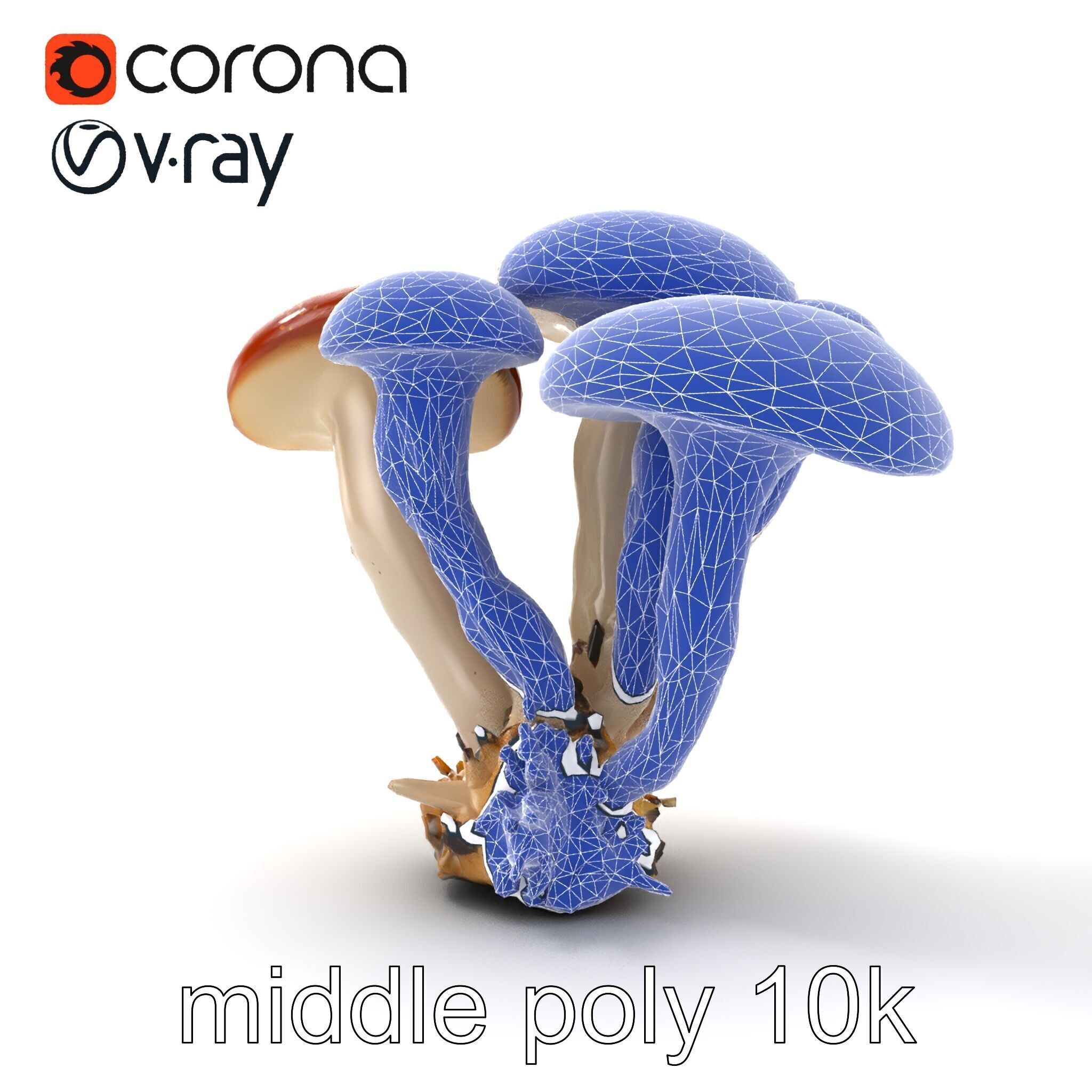 Clustered Mushrooms Diversity Sculpture model pack Low-poly 3D model_32