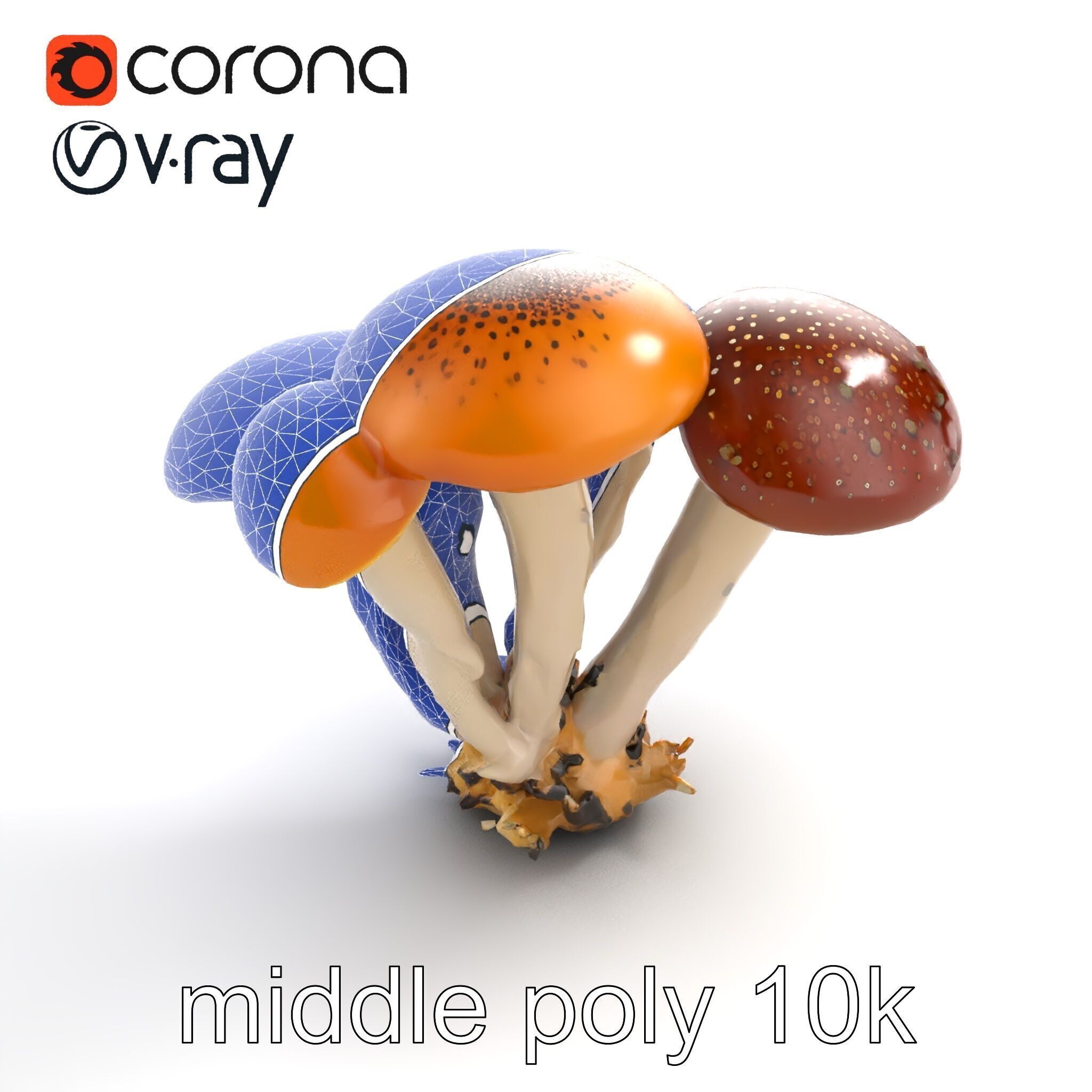Clustered Mushrooms Diversity Sculpture model pack Low-poly 3D model_11