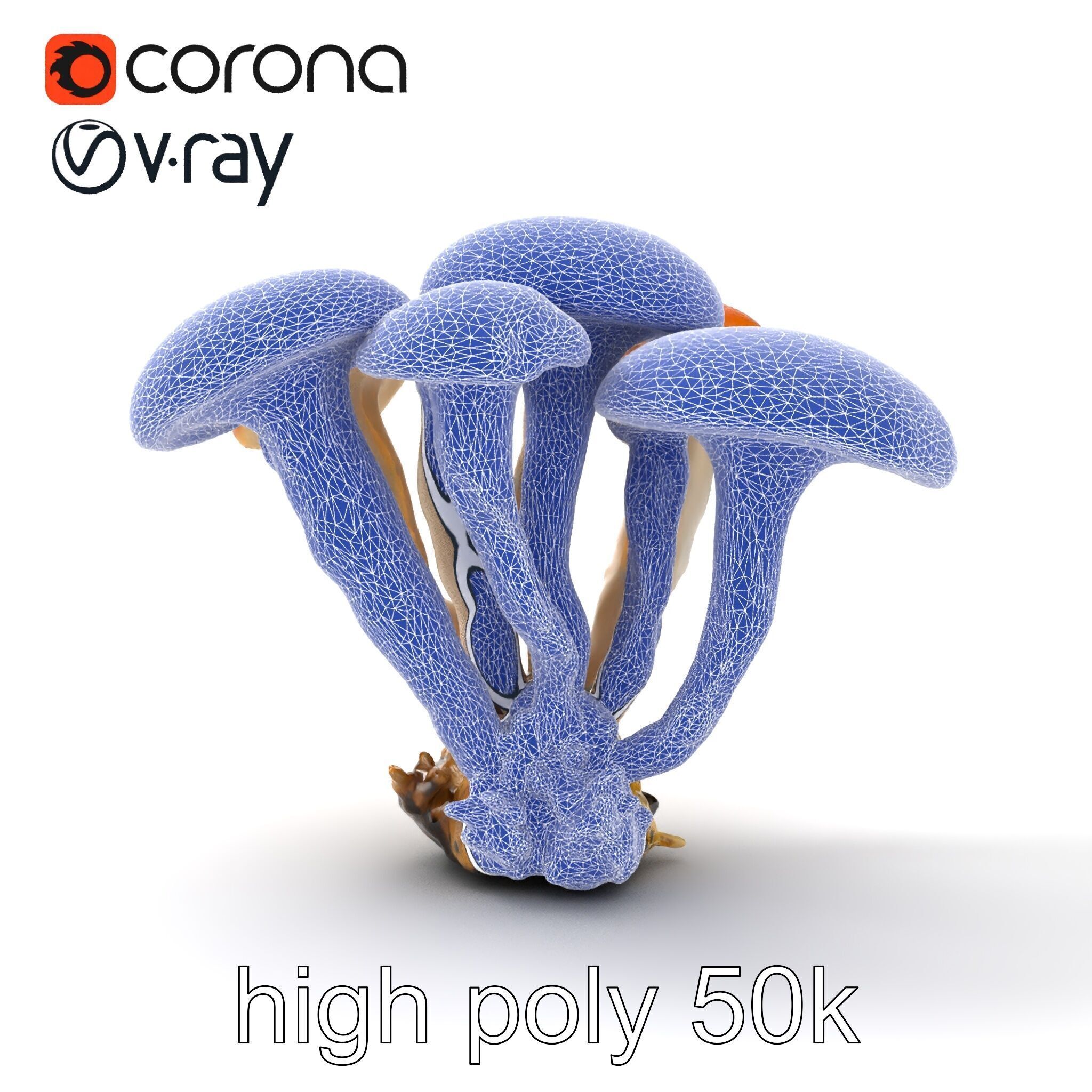 Clustered Mushrooms Diversity Sculpture model pack Low-poly 3D model_31