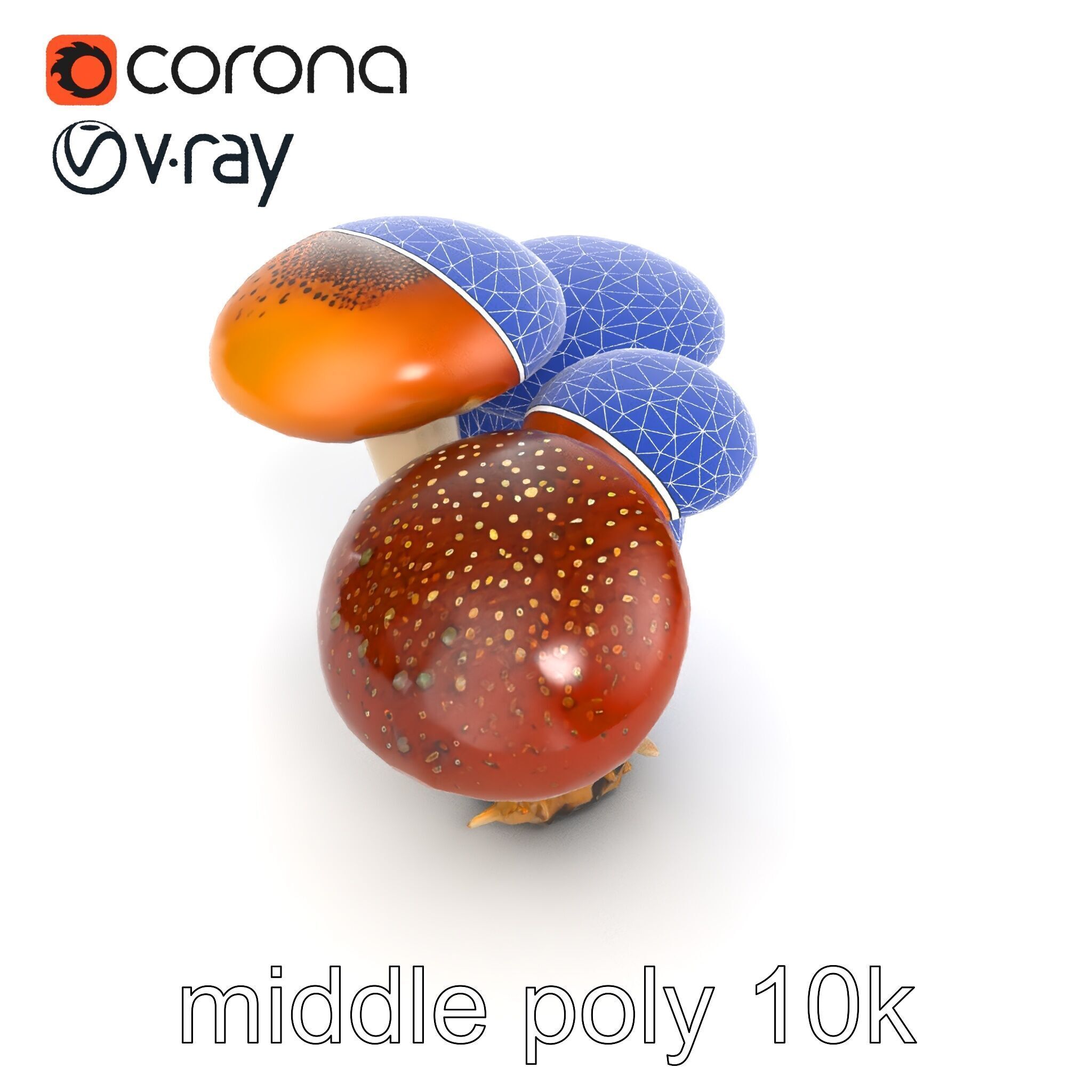 Clustered Mushrooms Diversity Sculpture model pack Low-poly 3D model_12