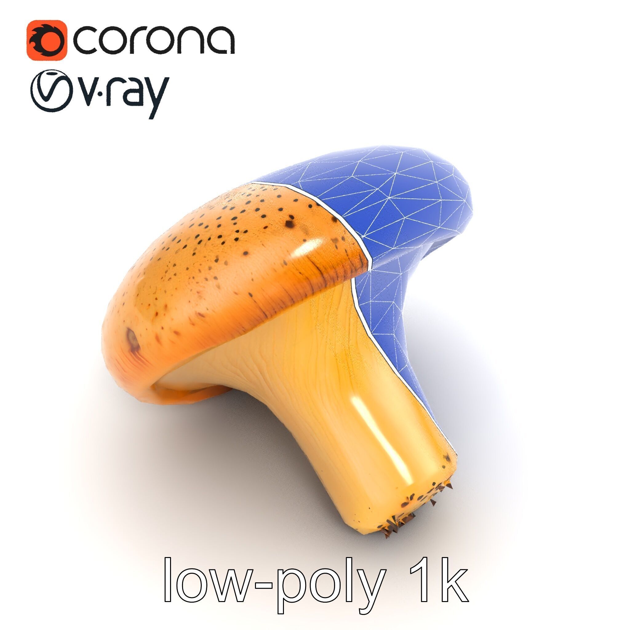 Realistic Mushroom Model Pack with Natural Textures Low-poly 3D model_46