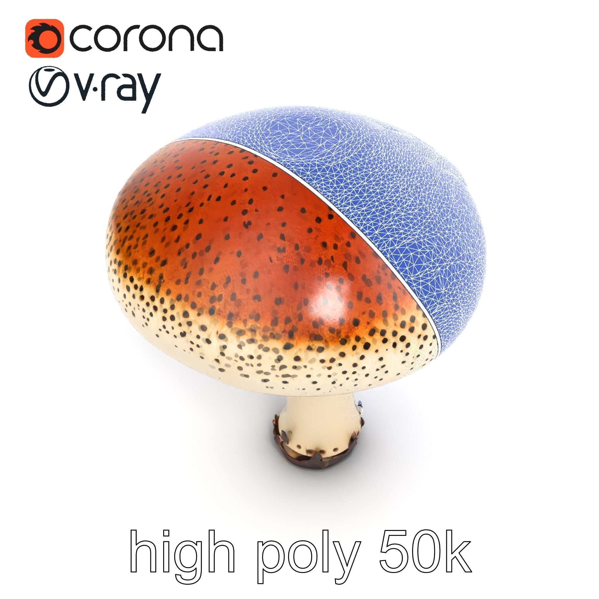 Realistic Mushroom Model Pack with Natural Textures Low-poly 3D model_27