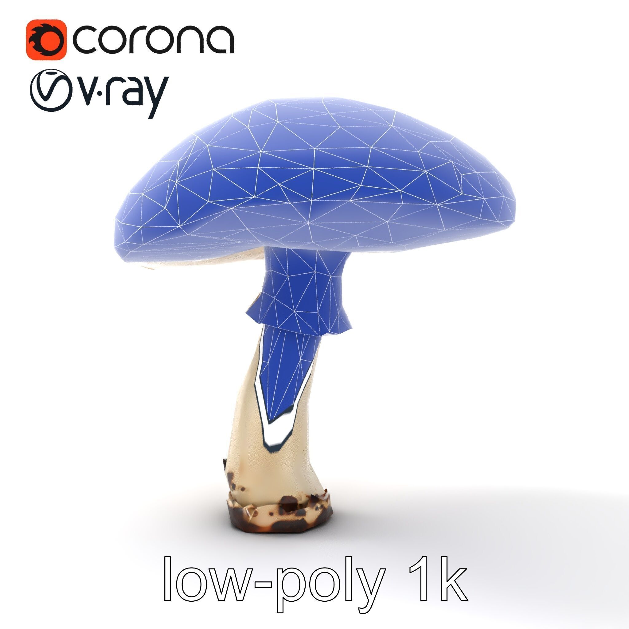 Realistic Mushroom Model Pack with Natural Textures Low-poly 3D model_24