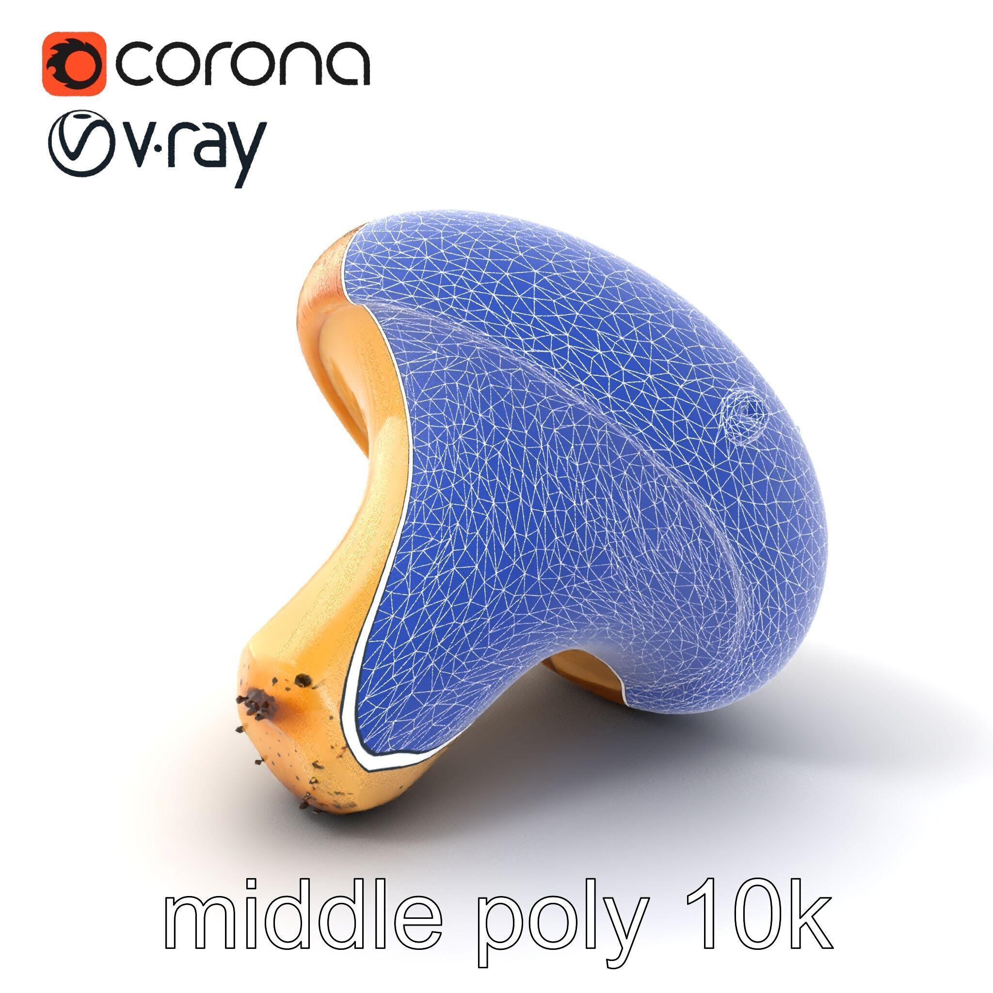 Realistic Mushroom Model Pack with Natural Textures Low-poly 3D model_36