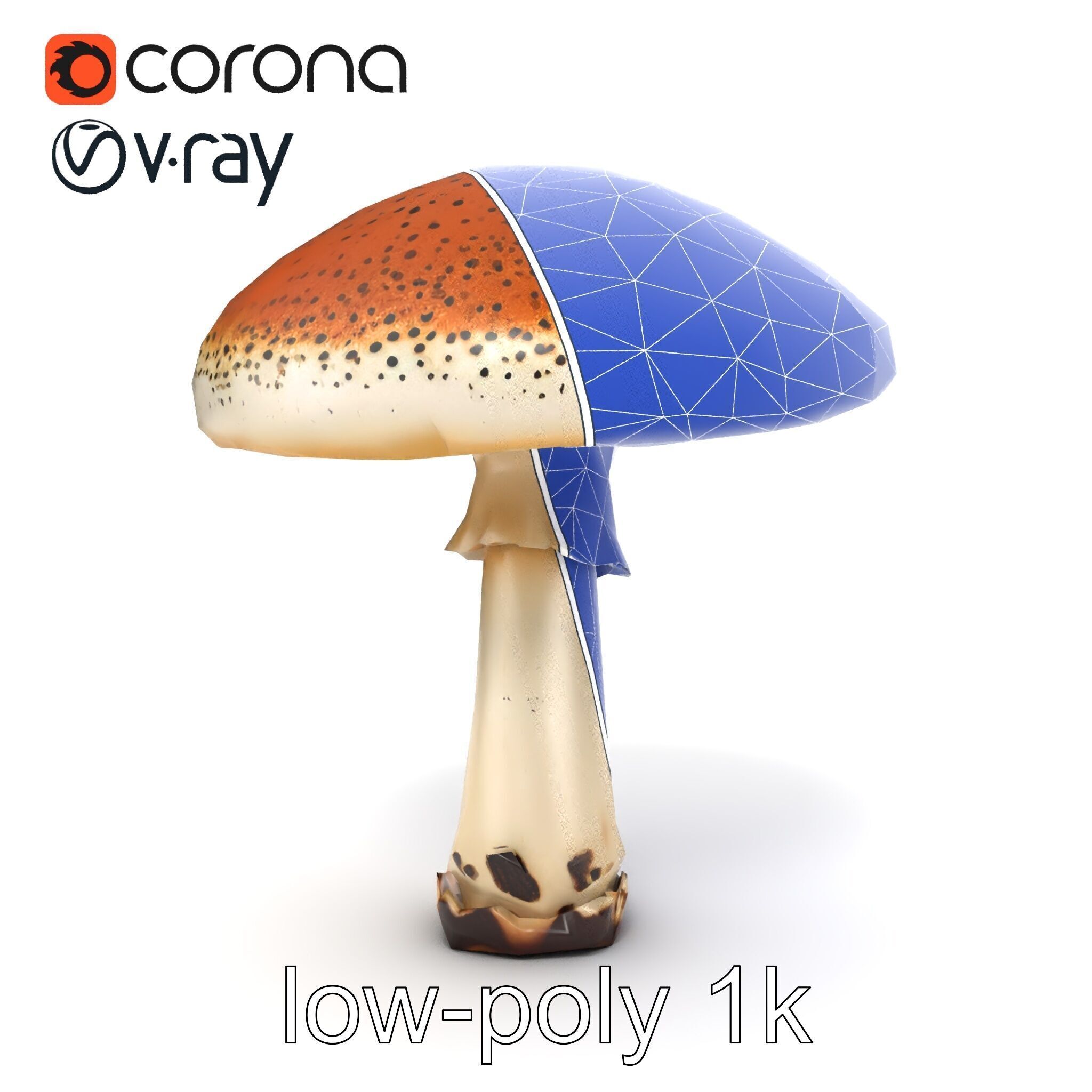 Realistic Mushroom Model Pack with Natural Textures Low-poly 3D model_18