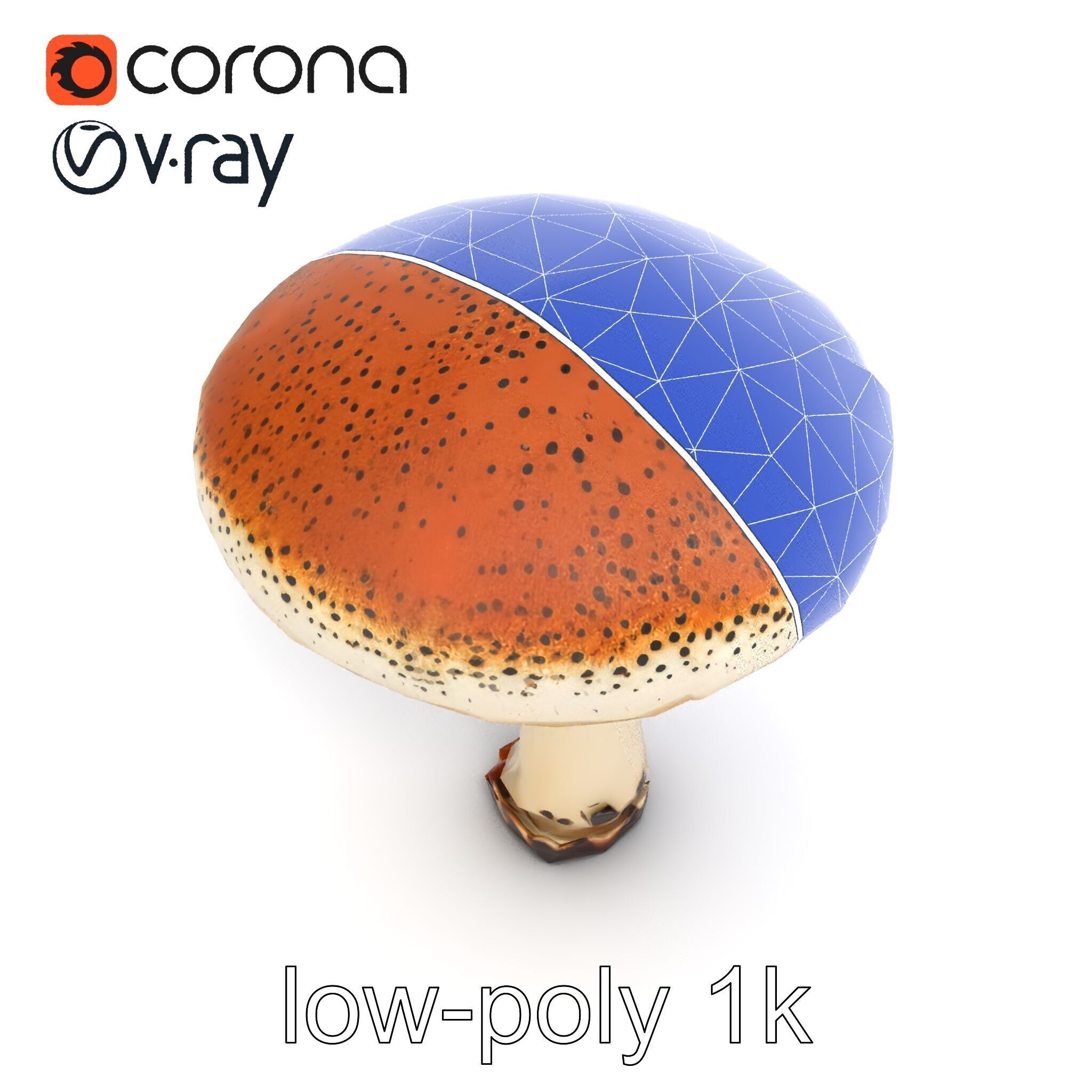 Realistic Mushroom Model Pack with Natural Textures Low-poly 3D model_14