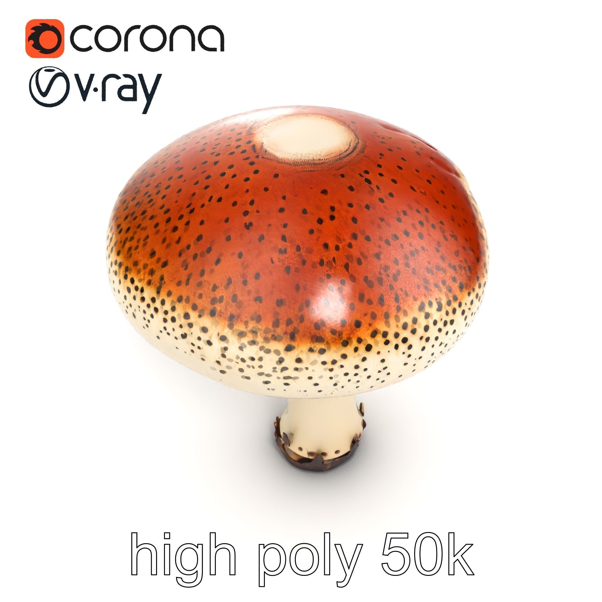 Realistic Mushroom Model Pack with Natural Textures Low-poly 3D model_23