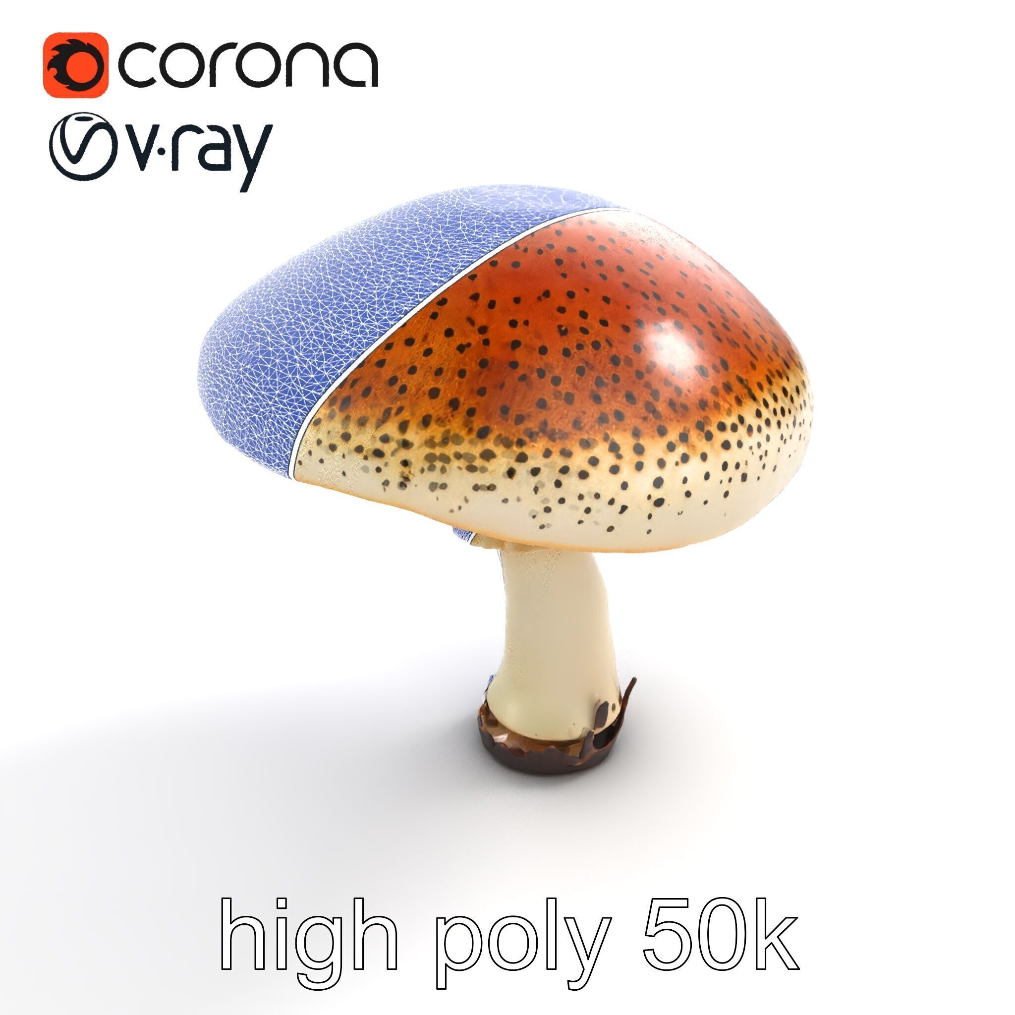 Realistic Mushroom Model Pack with Natural Textures Low-poly 3D model_13