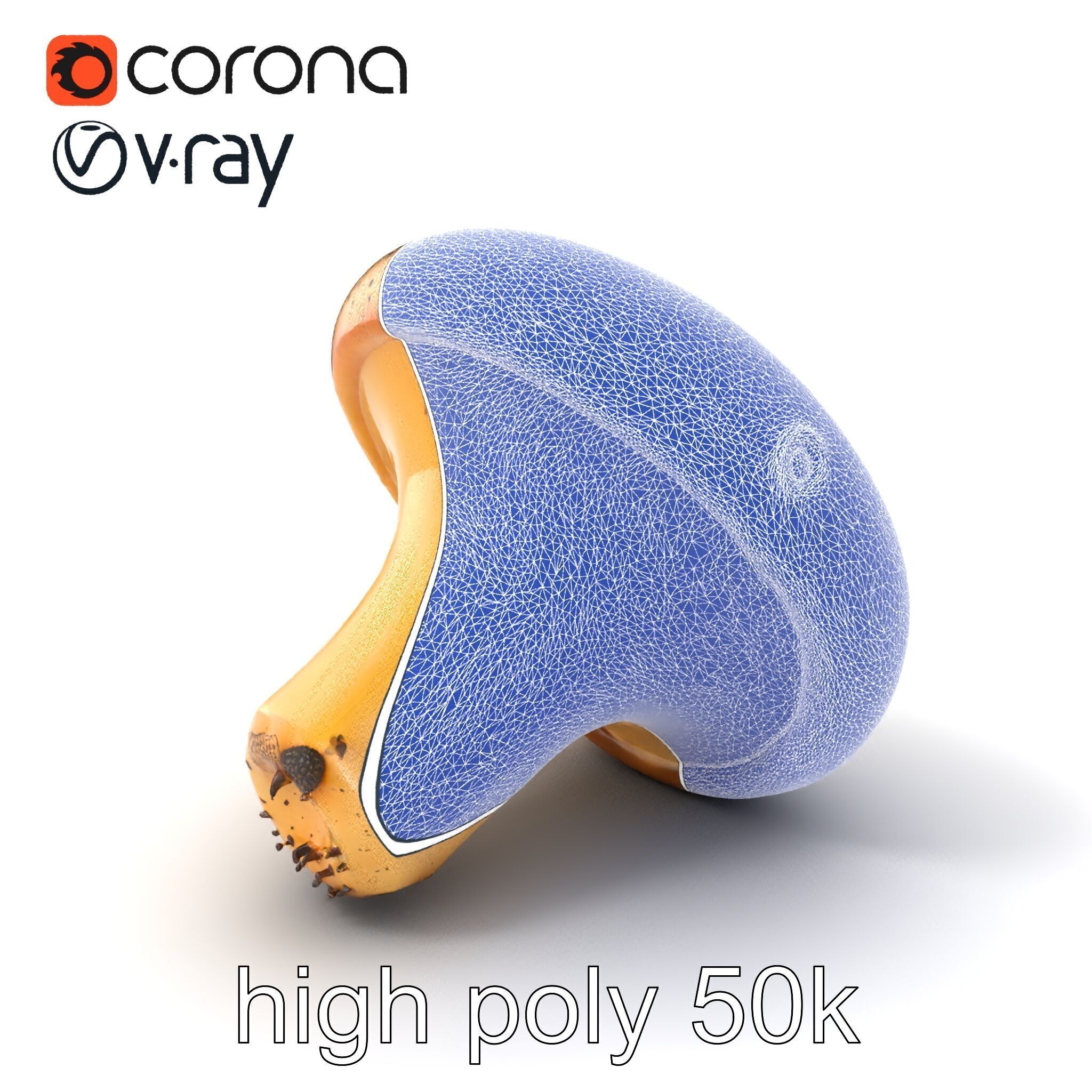 Realistic Mushroom Model Pack with Natural Textures Low-poly 3D model_32