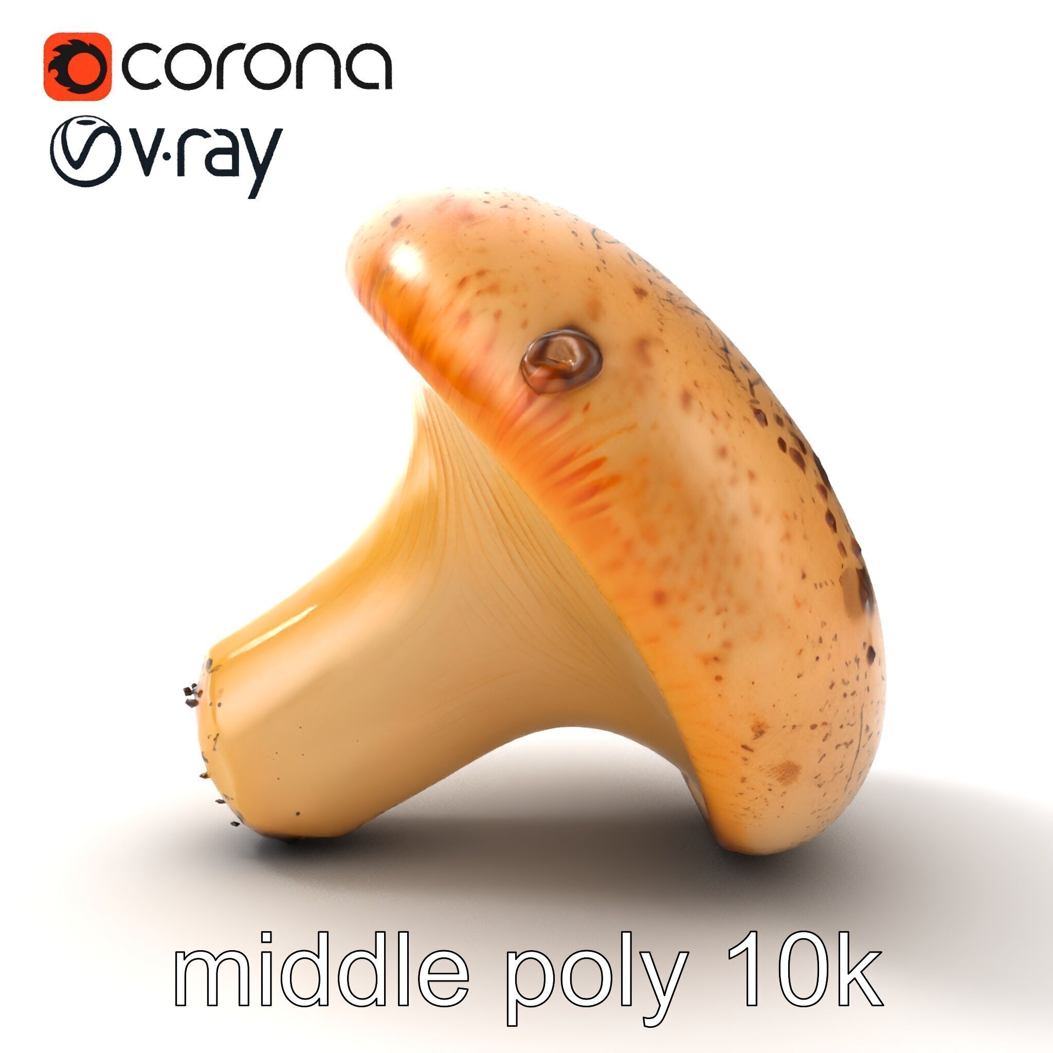 Realistic Mushroom Model Pack with Natural Textures Low-poly 3D model_44