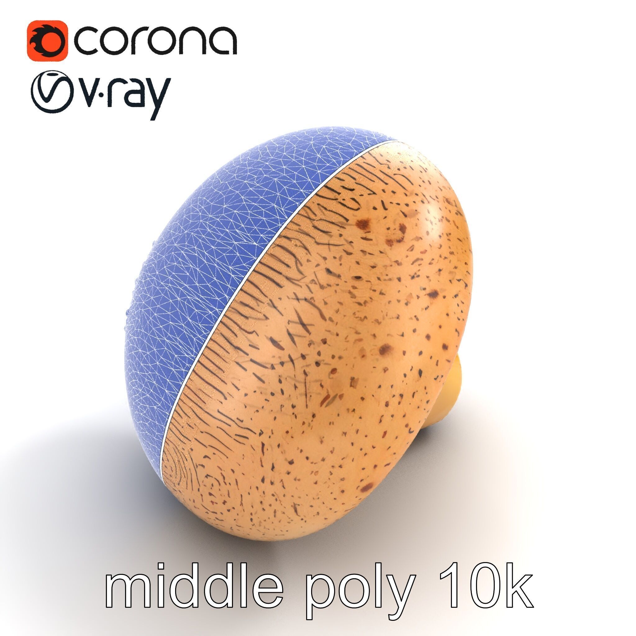 Realistic Mushroom Model Pack with Natural Textures Low-poly 3D model_56