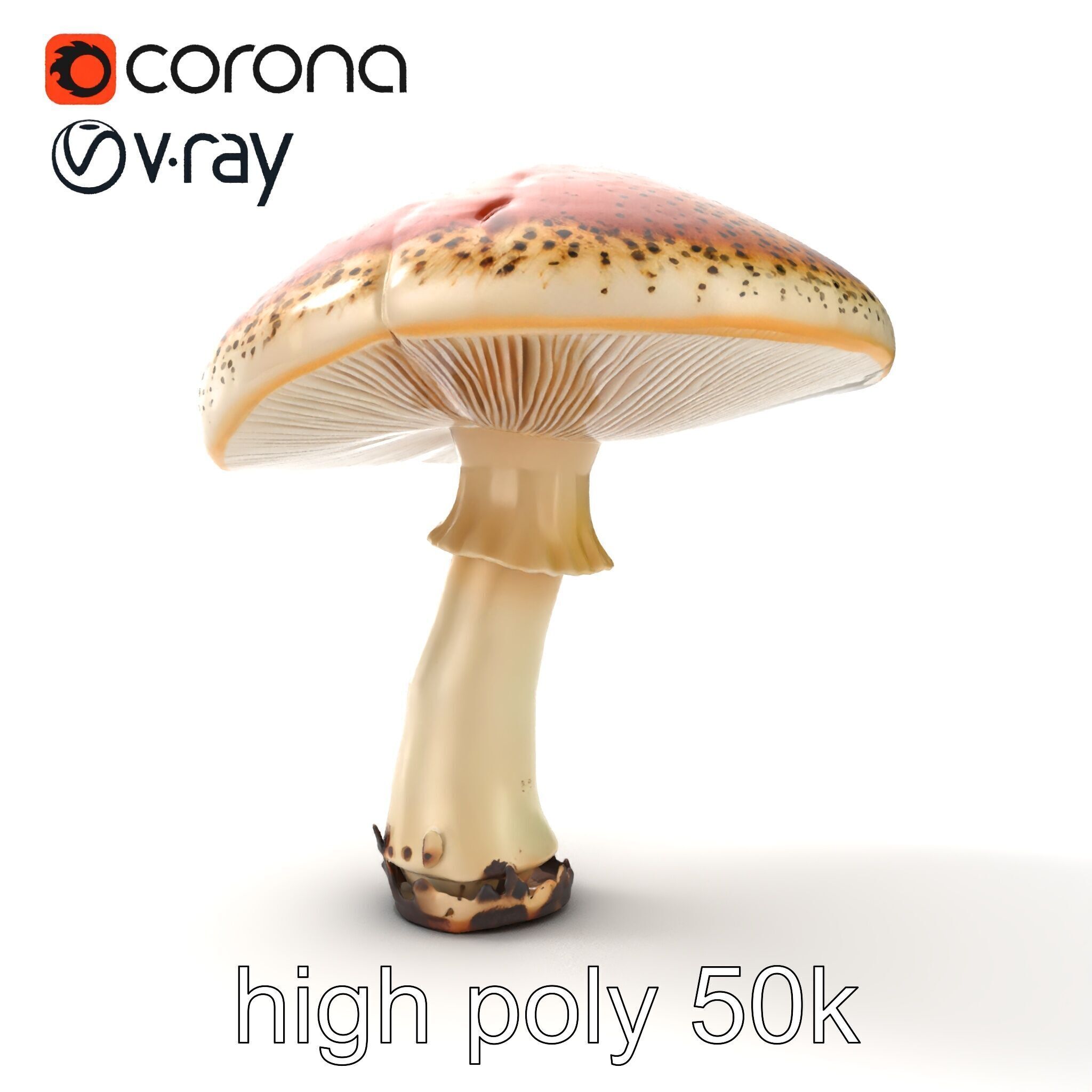 Realistic Mushroom Model Pack with Natural Textures Low-poly 3D model_16