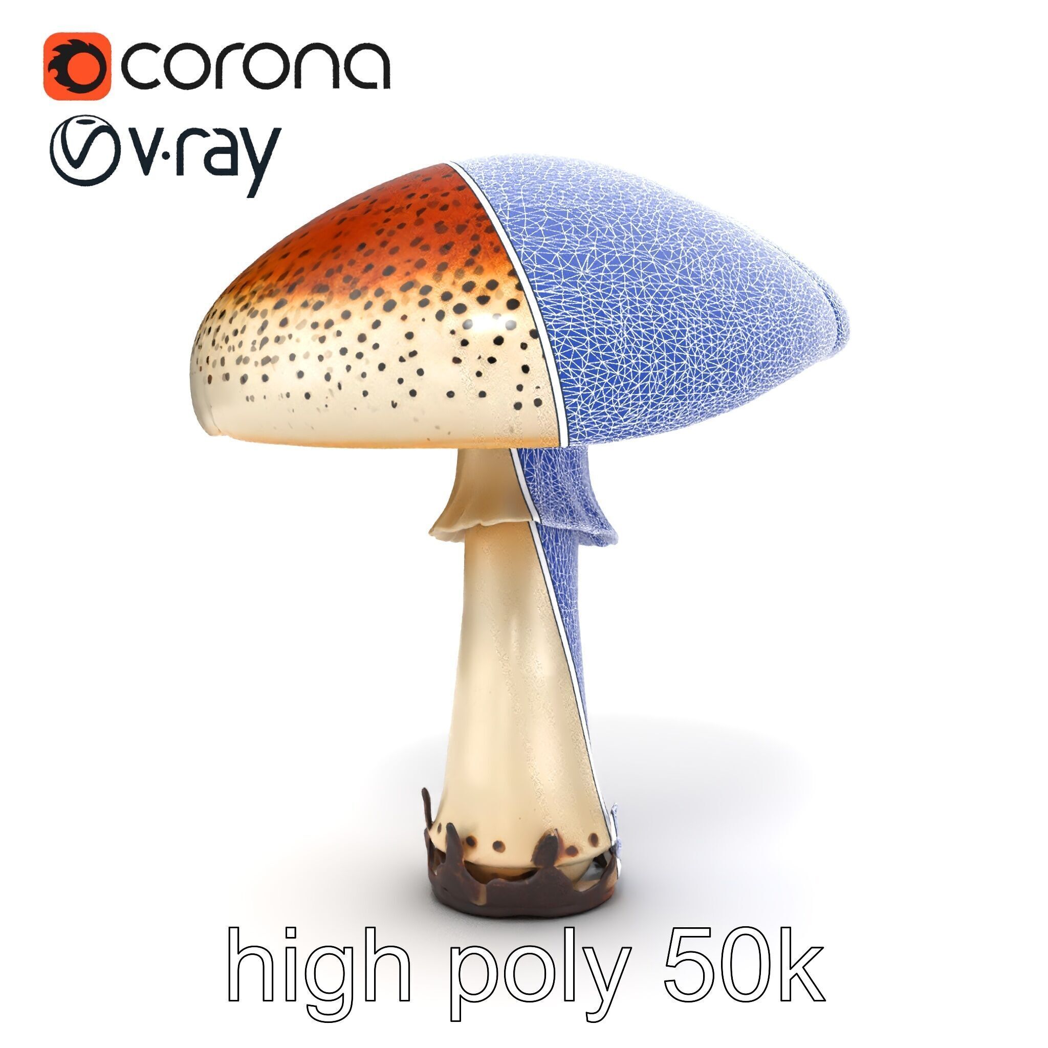 Realistic Mushroom Model Pack with Natural Textures Low-poly 3D model_11