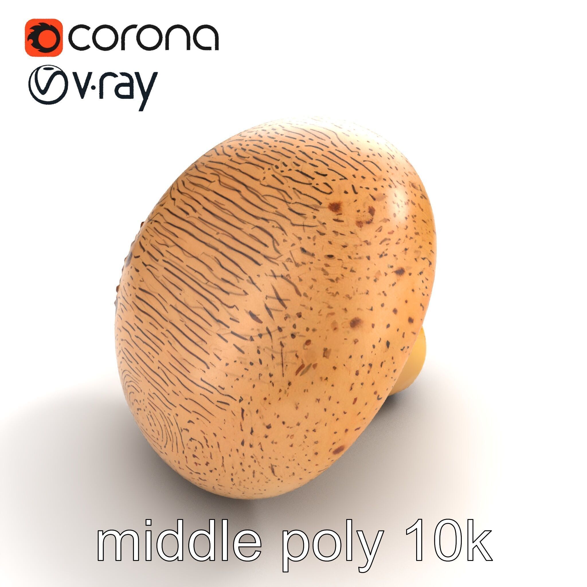 Realistic Mushroom Model Pack with Natural Textures Low-poly 3D model_38
