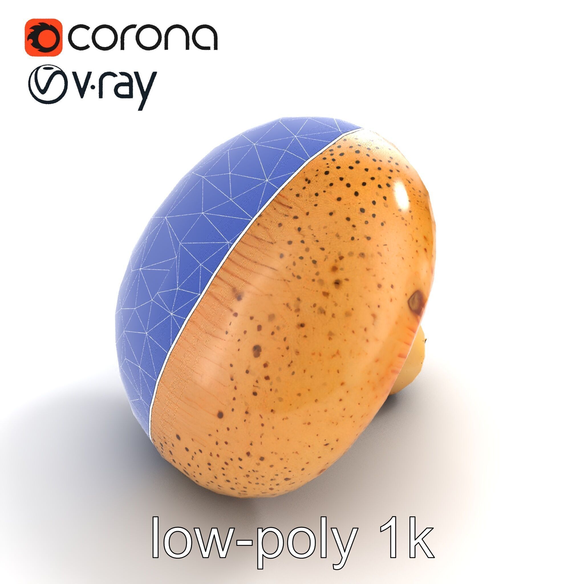 Realistic Mushroom Model Pack with Natural Textures Low-poly 3D model_52