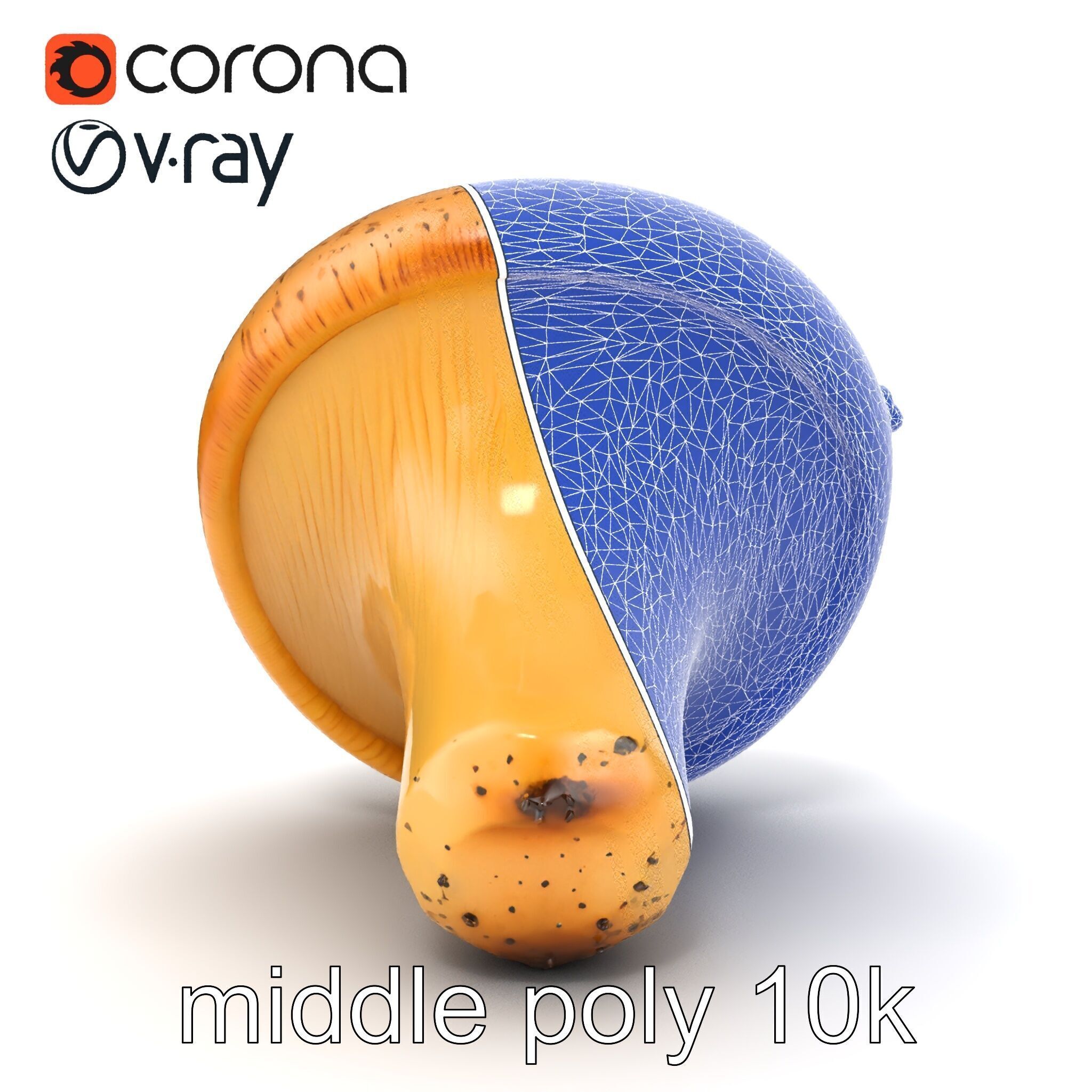 Realistic Mushroom Model Pack with Natural Textures Low-poly 3D model_60