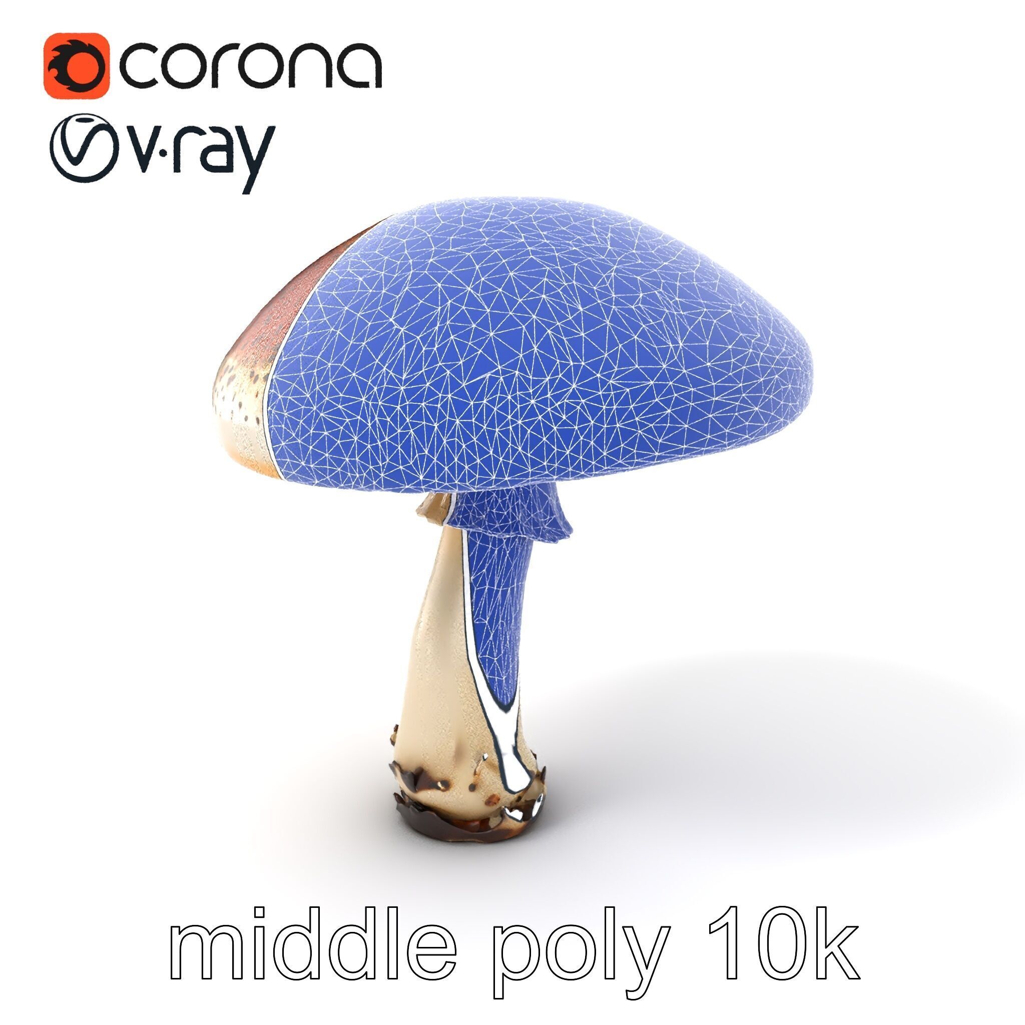 Realistic Mushroom Model Pack with Natural Textures Low-poly 3D model_5